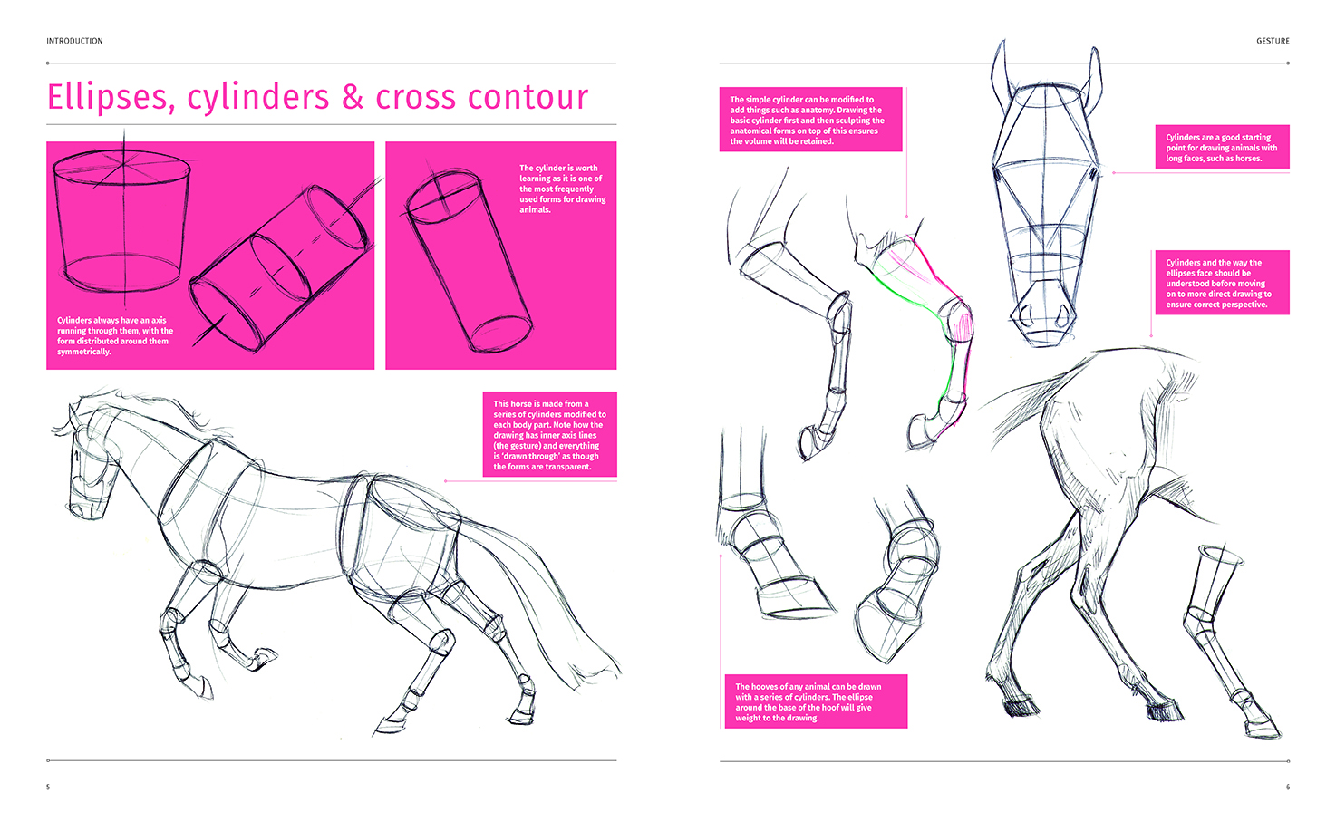 Animal Anatomy for Artists