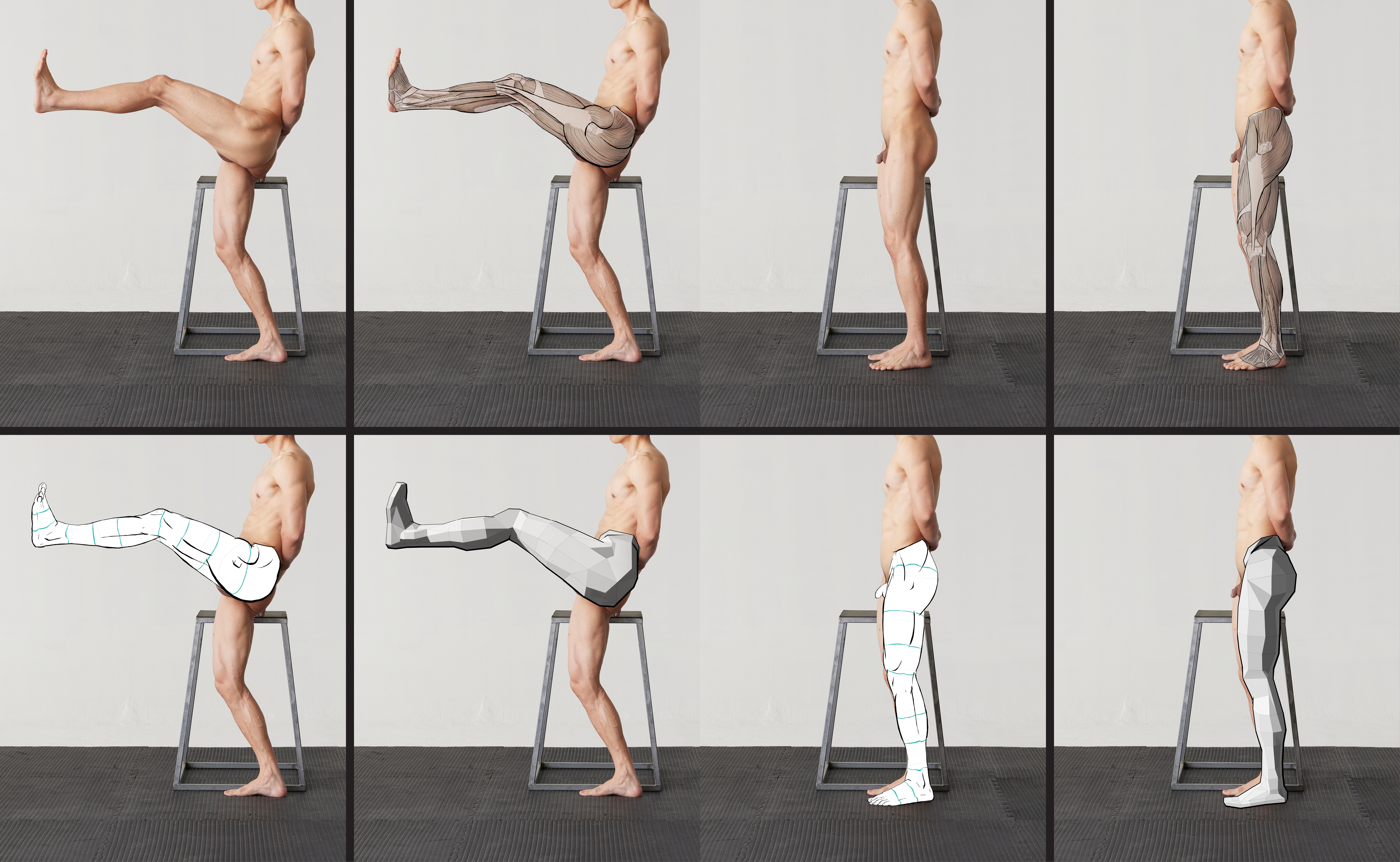 Anatomy in Motion