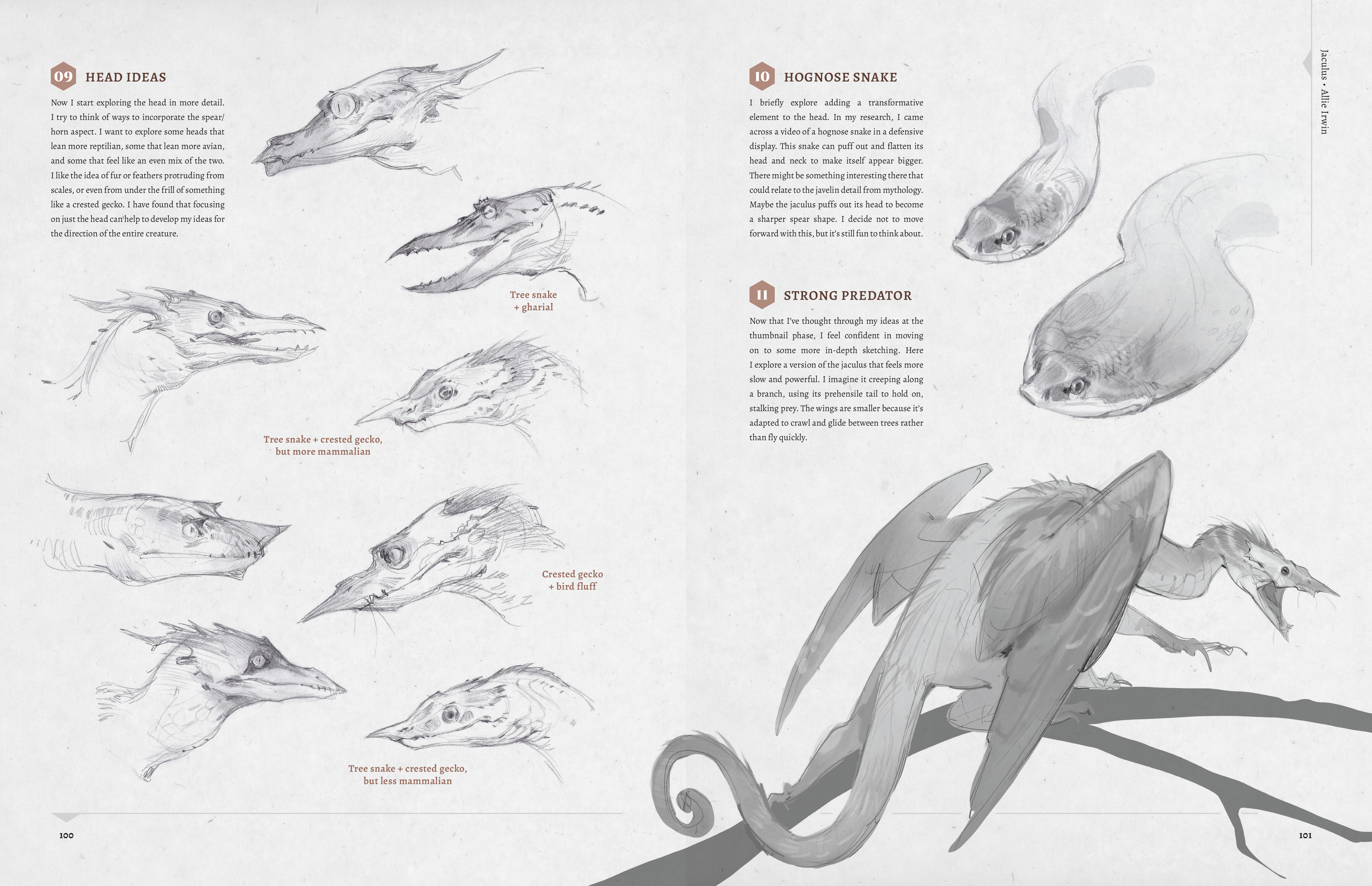 Designing Dragons