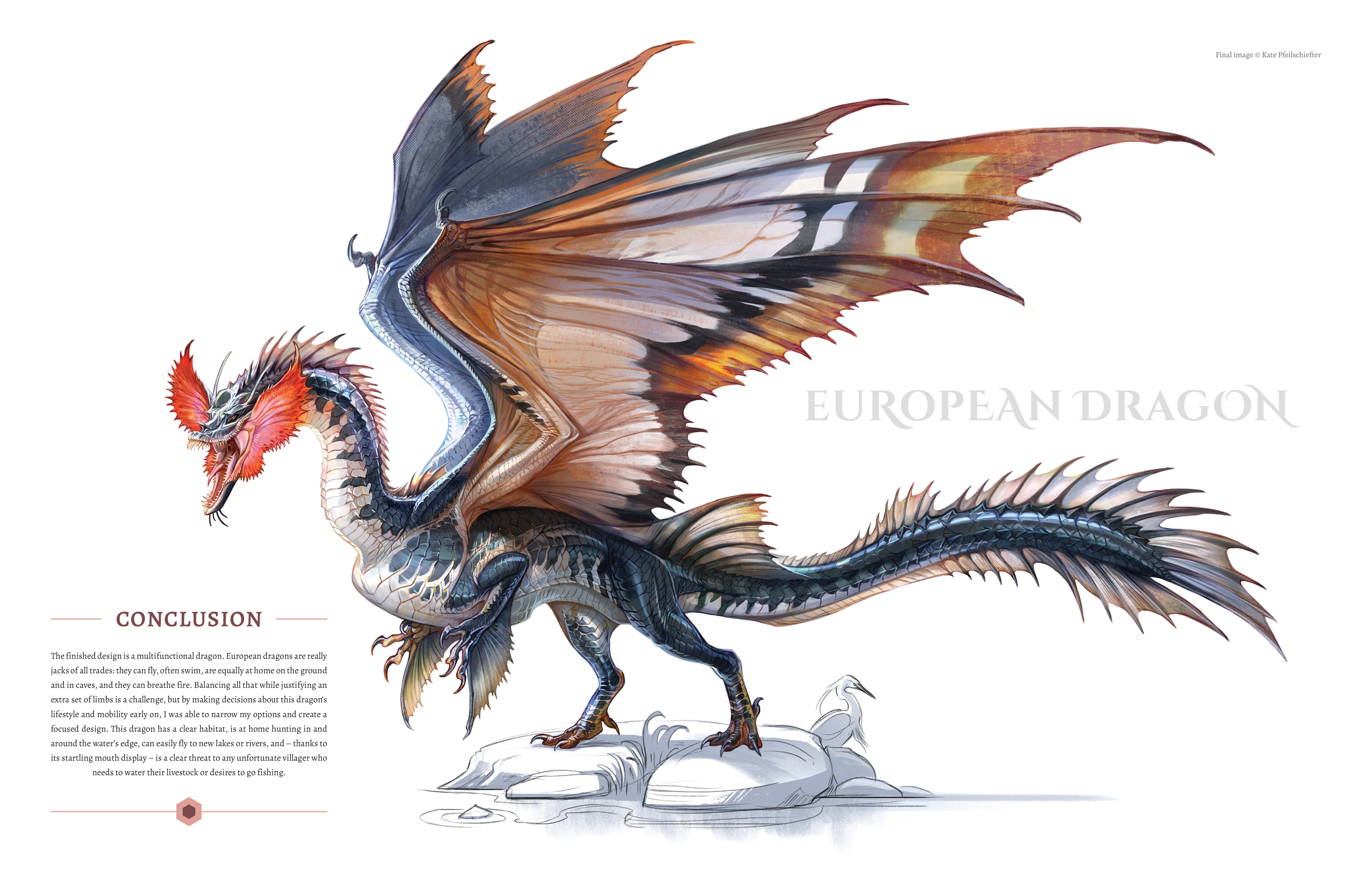Designing Dragons
