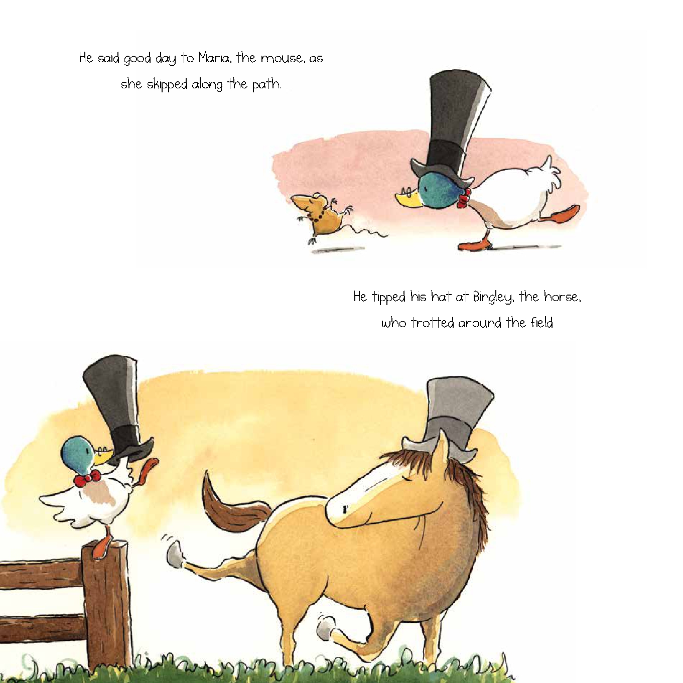 Mr. Darcy the Dancing Duck