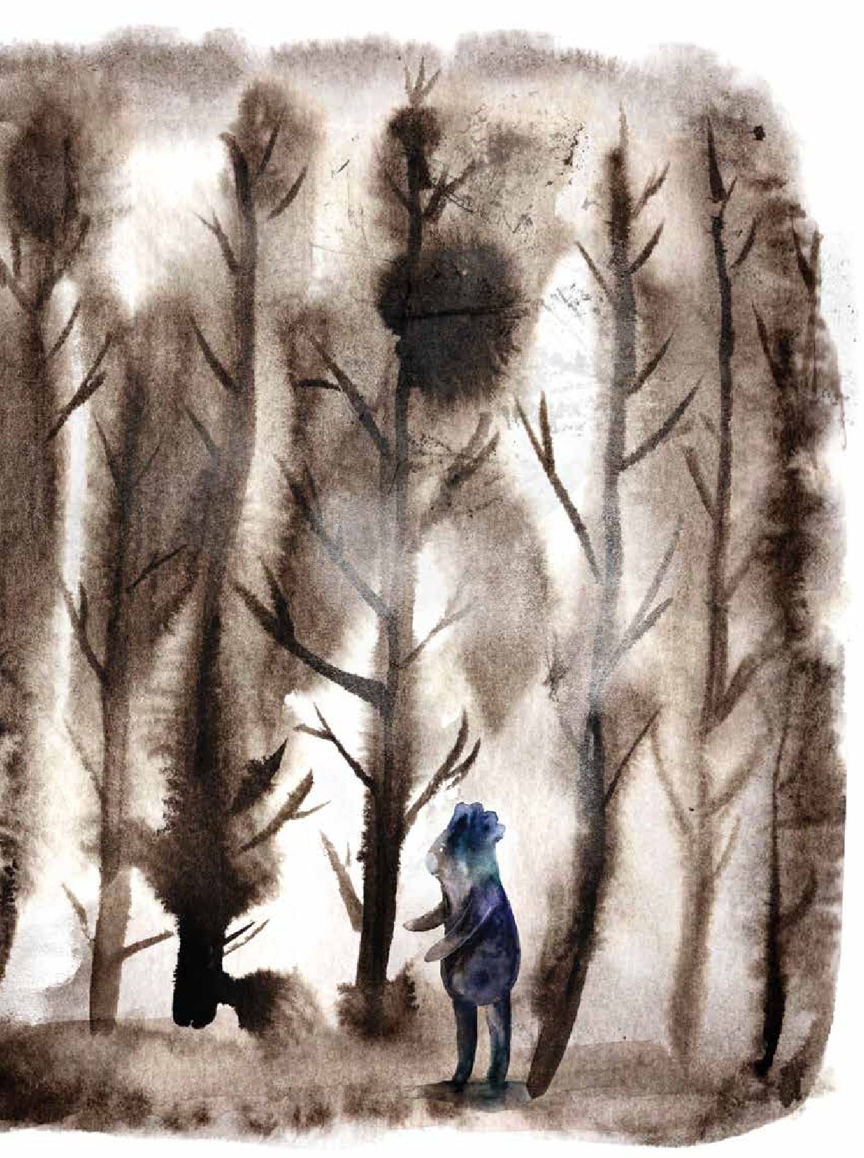 The Koala and the Little Tree