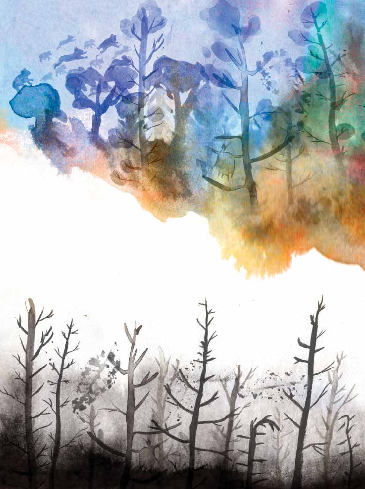 The Koala and the Little Tree