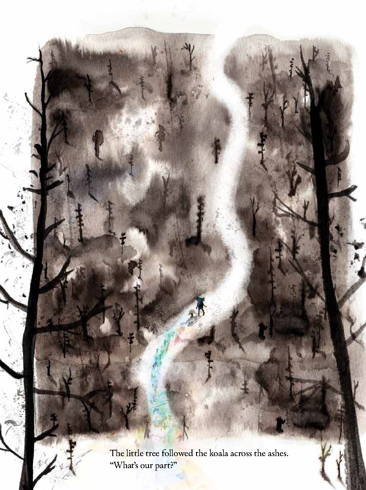 The Koala and the Little Tree