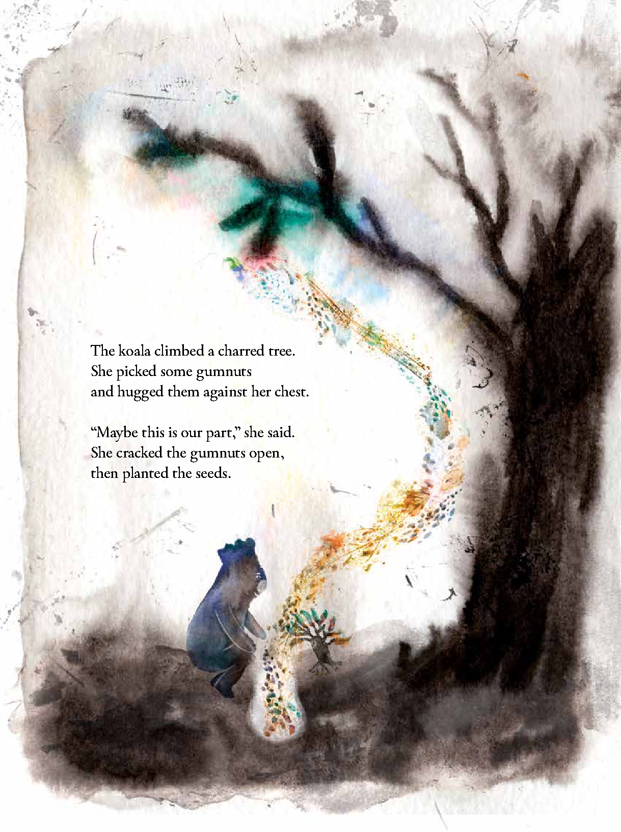 The Koala and the Little Tree