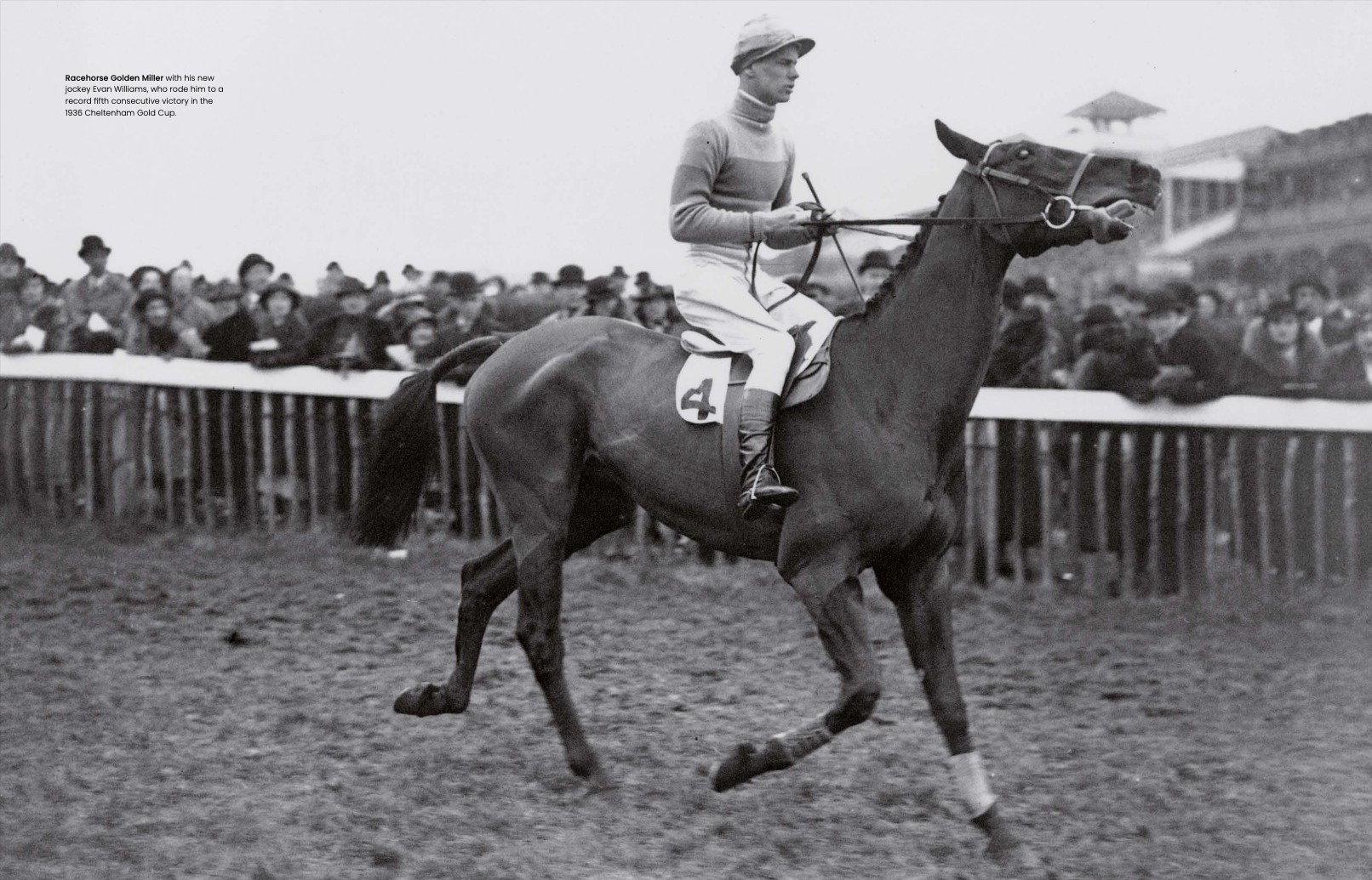 The History of the Cheltenham Festival