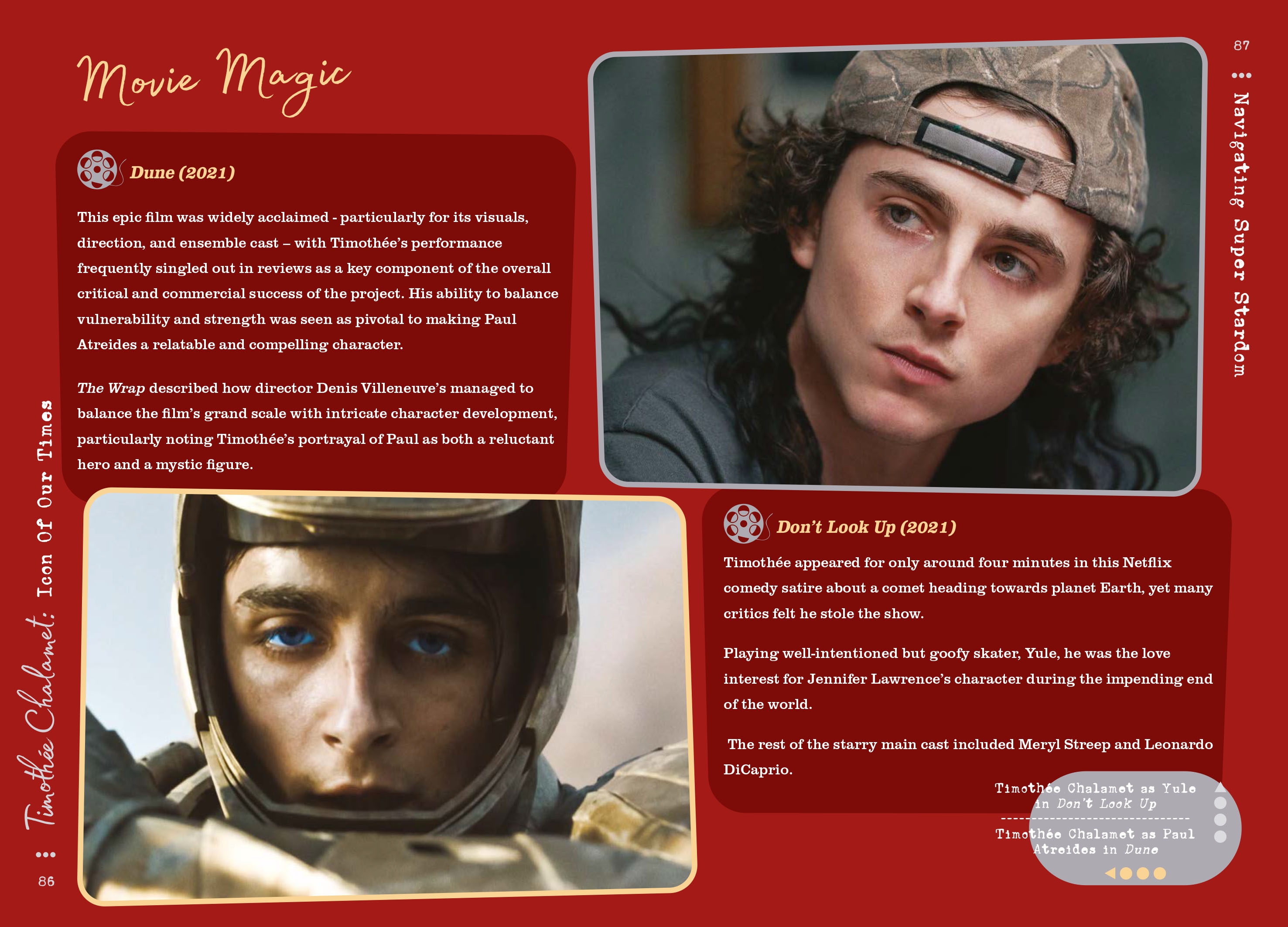 Timothée Chalamet - Icon of our Times