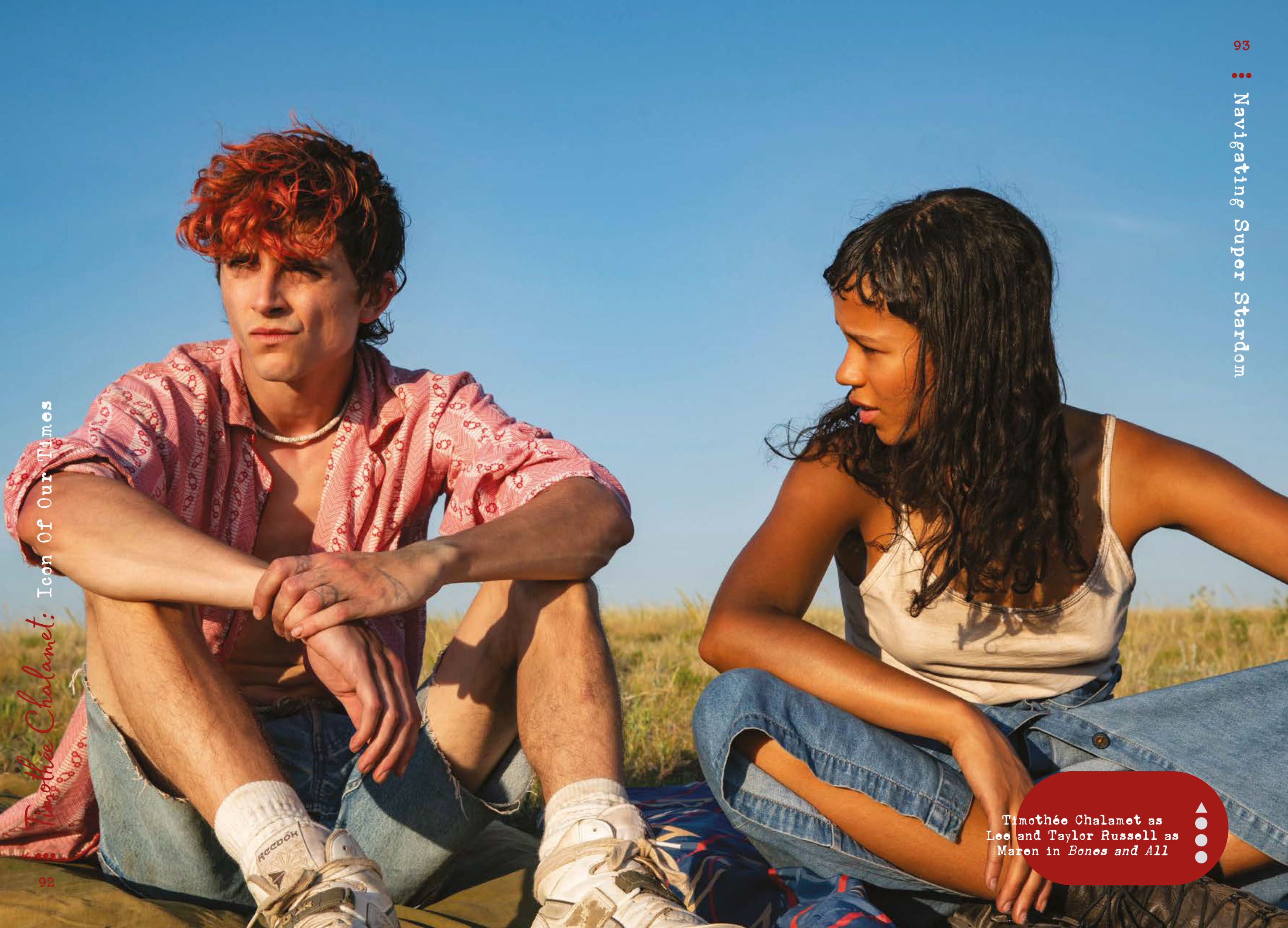 Timothée Chalamet - Icon of our Times