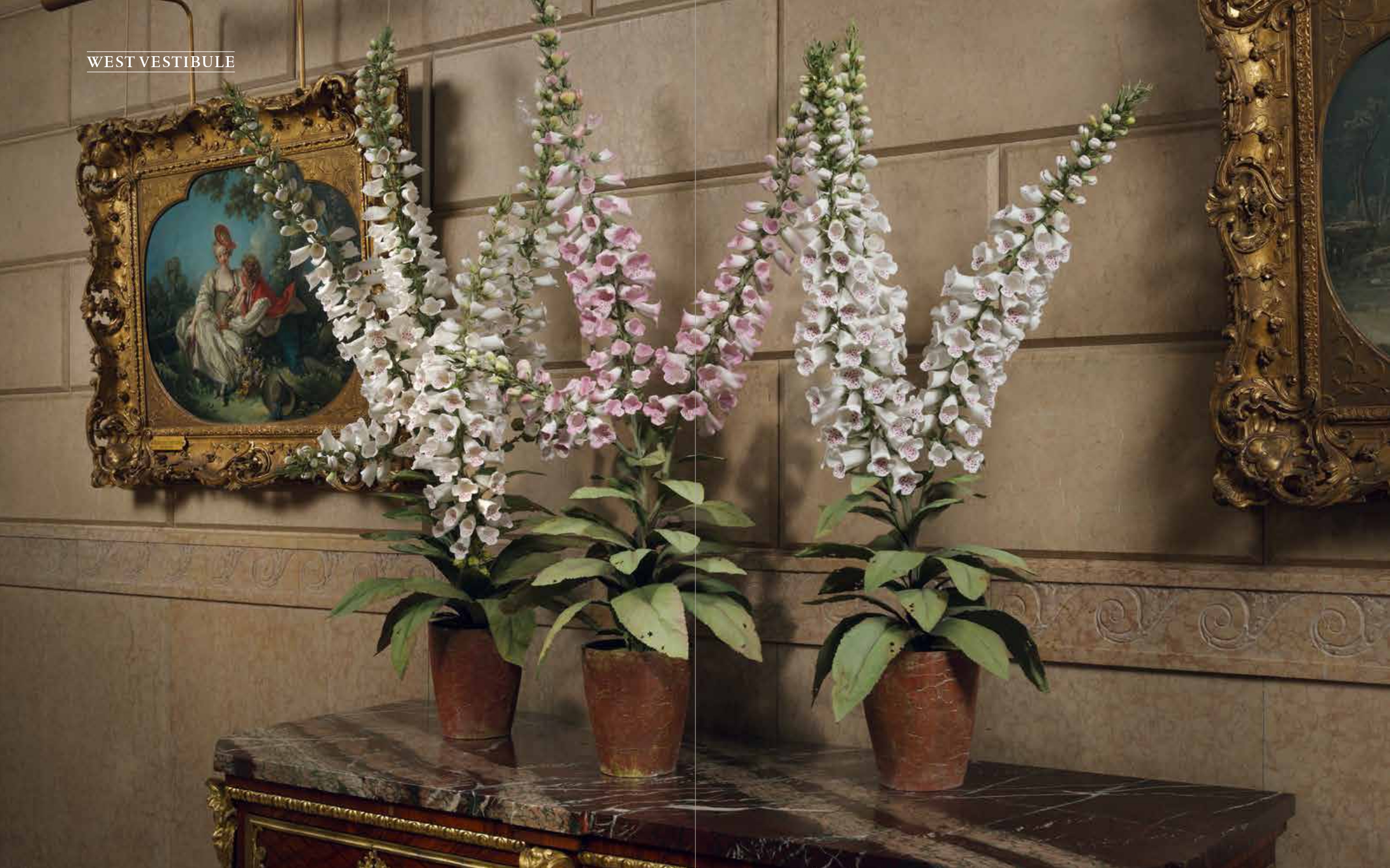 Porcelain Garden