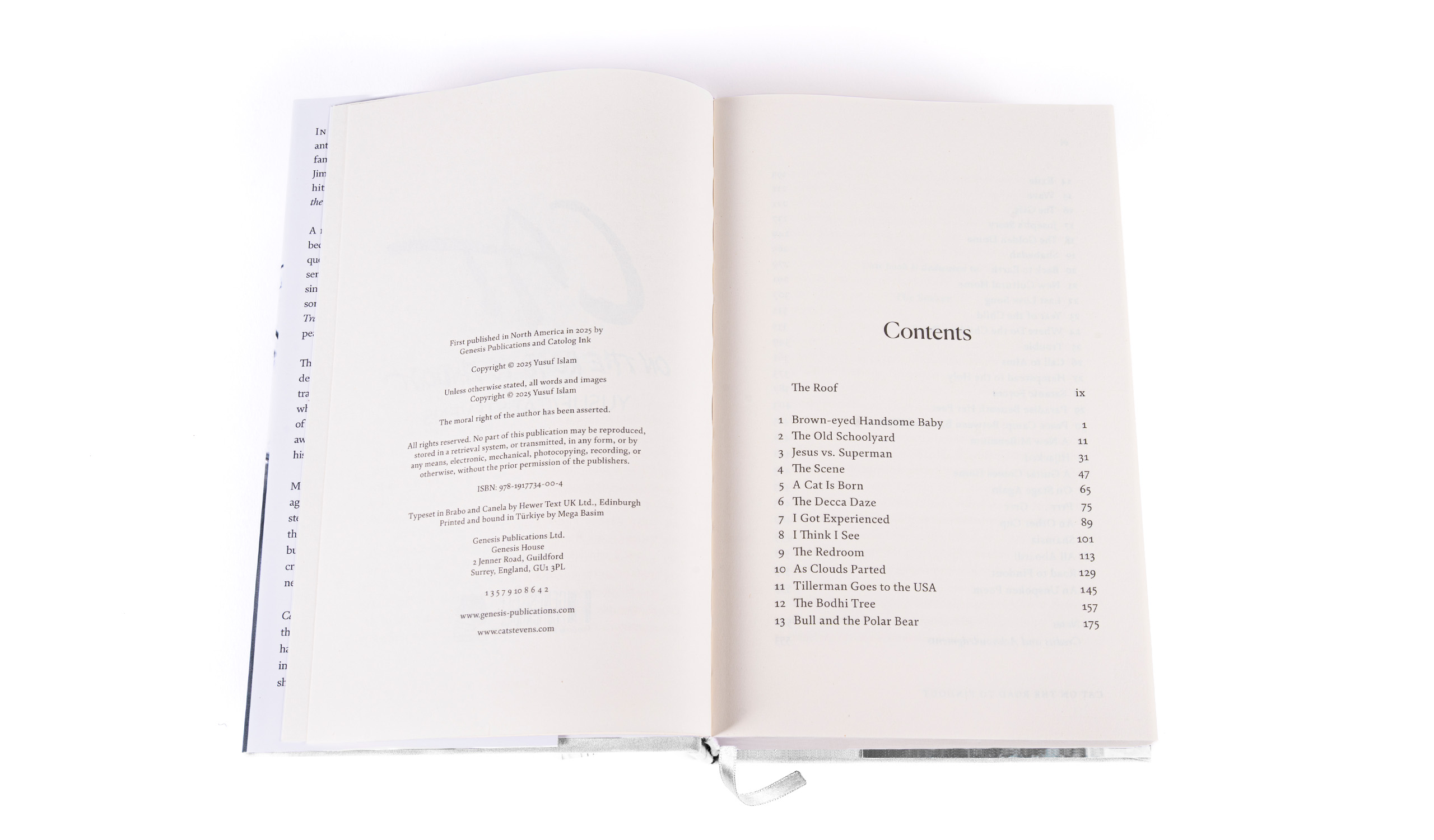 Cat On The Road To Findout