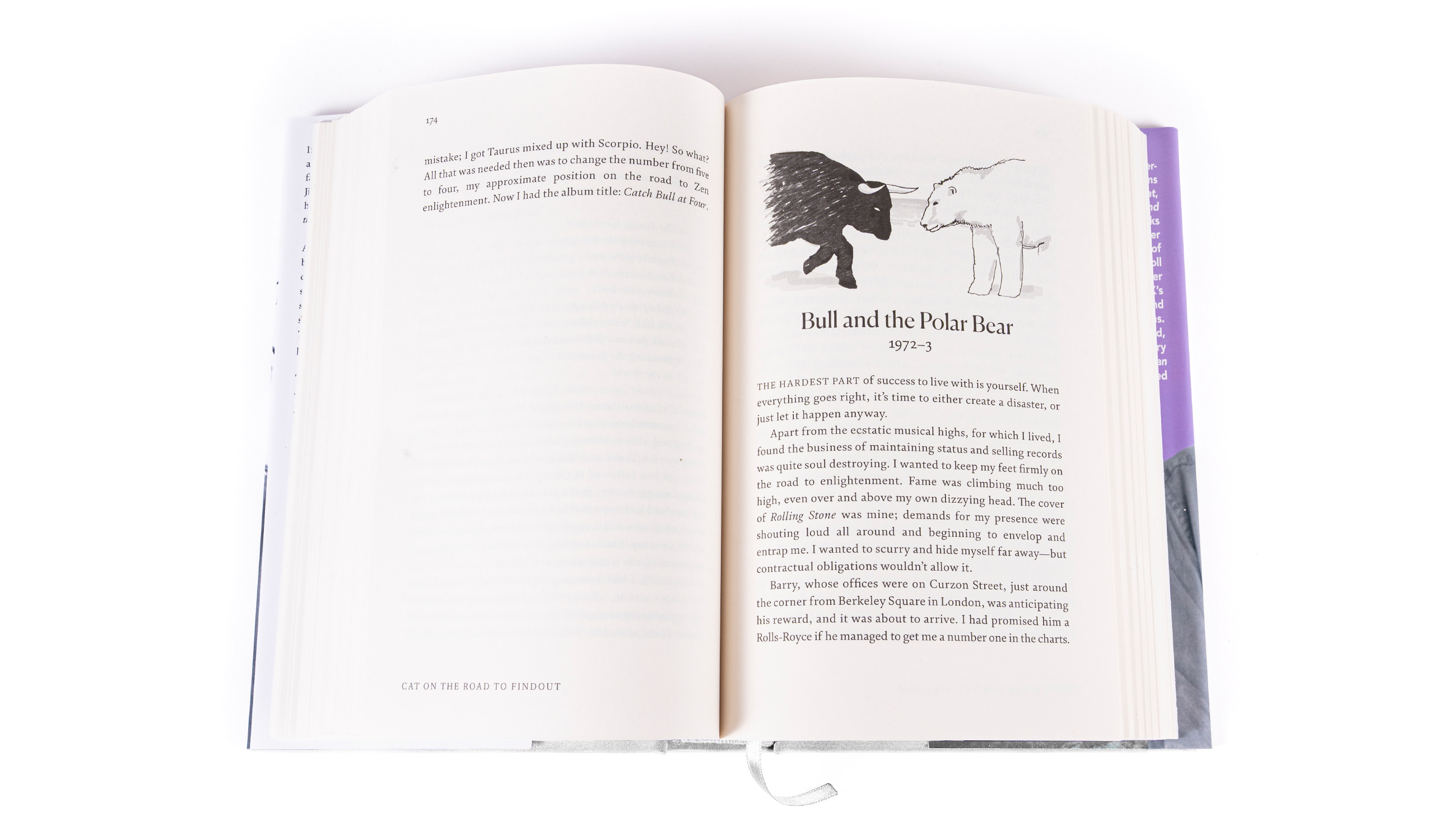 Cat On The Road To Findout