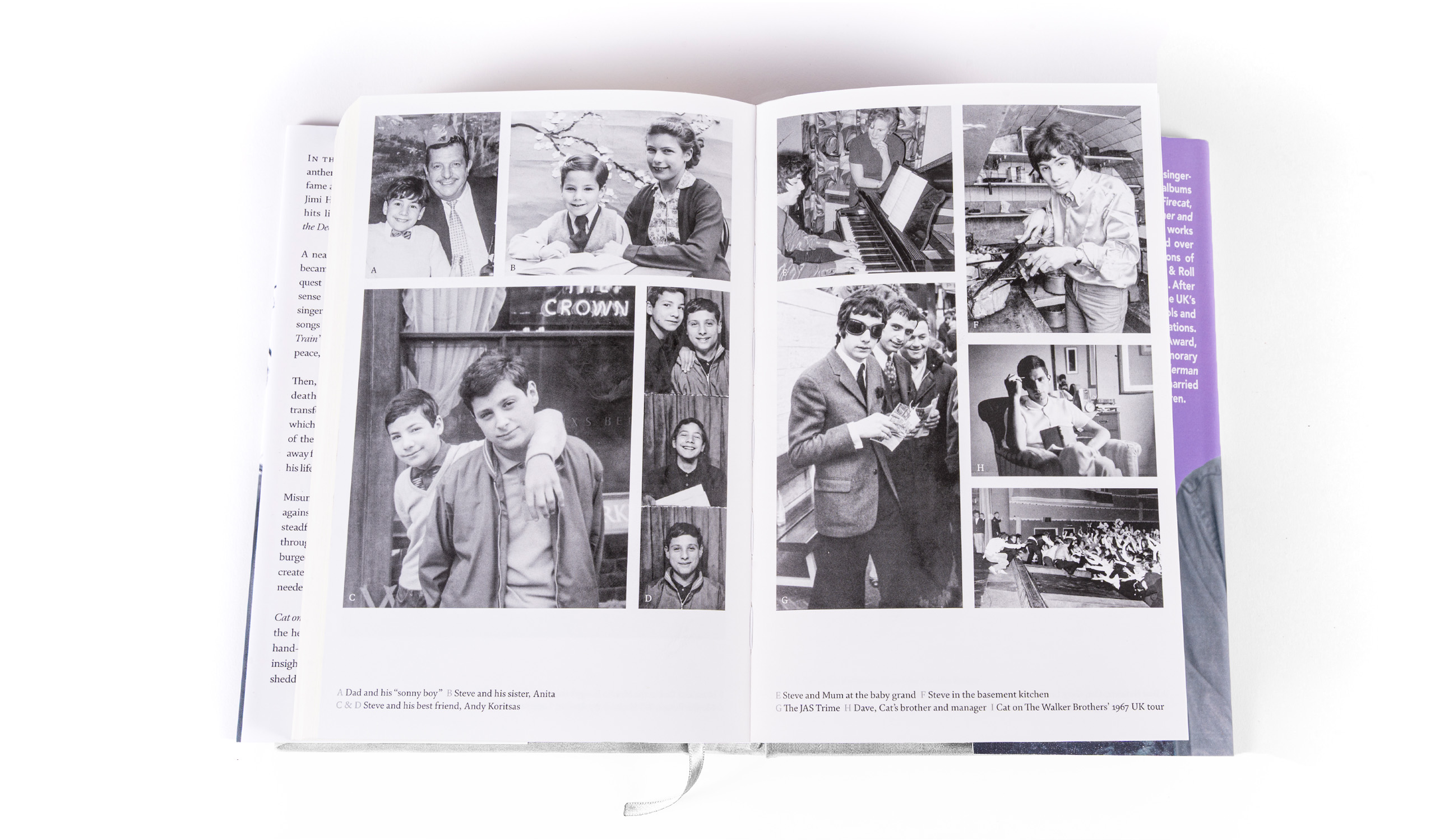 Cat On The Road To Findout