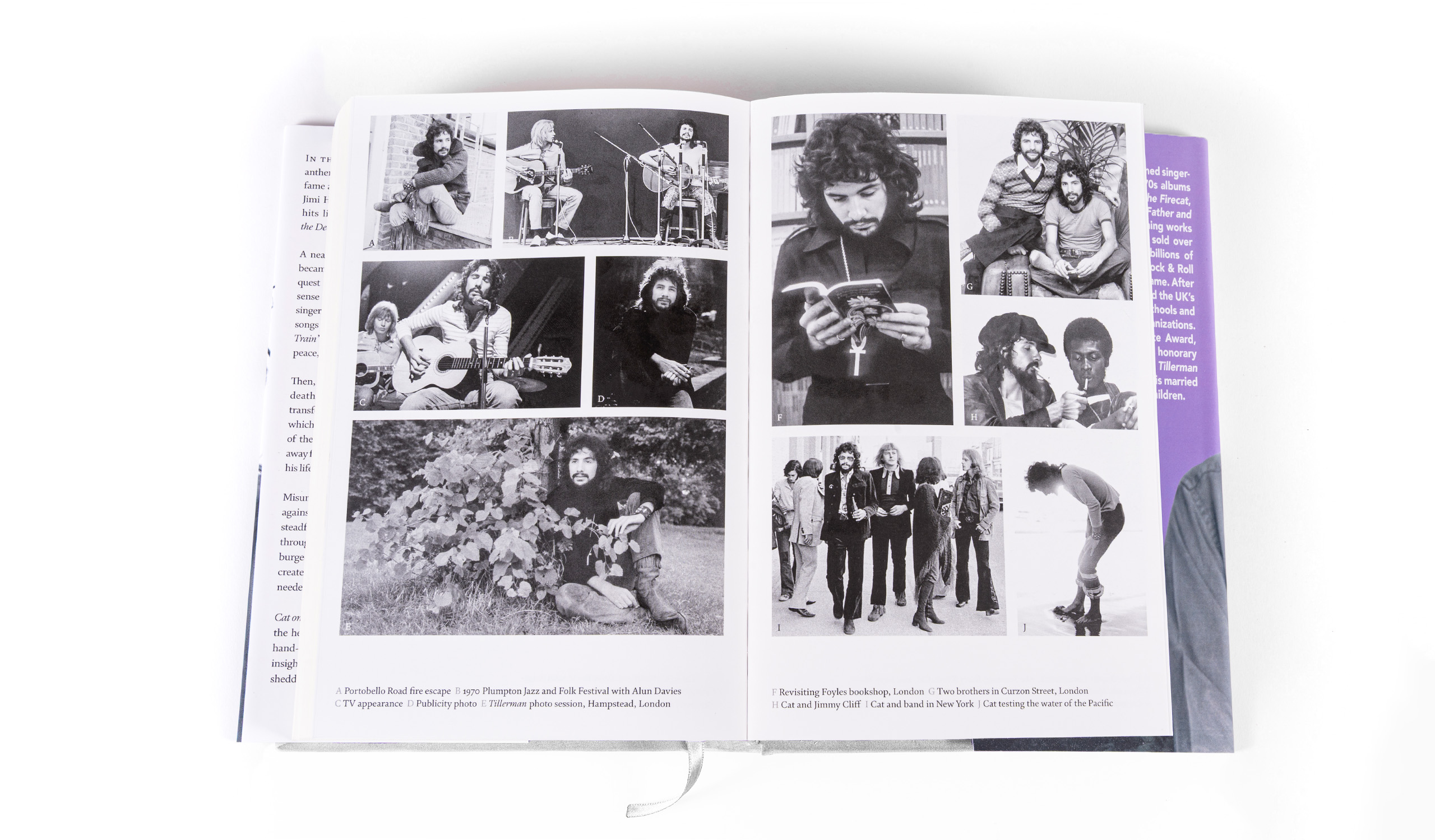 Cat On The Road To Findout