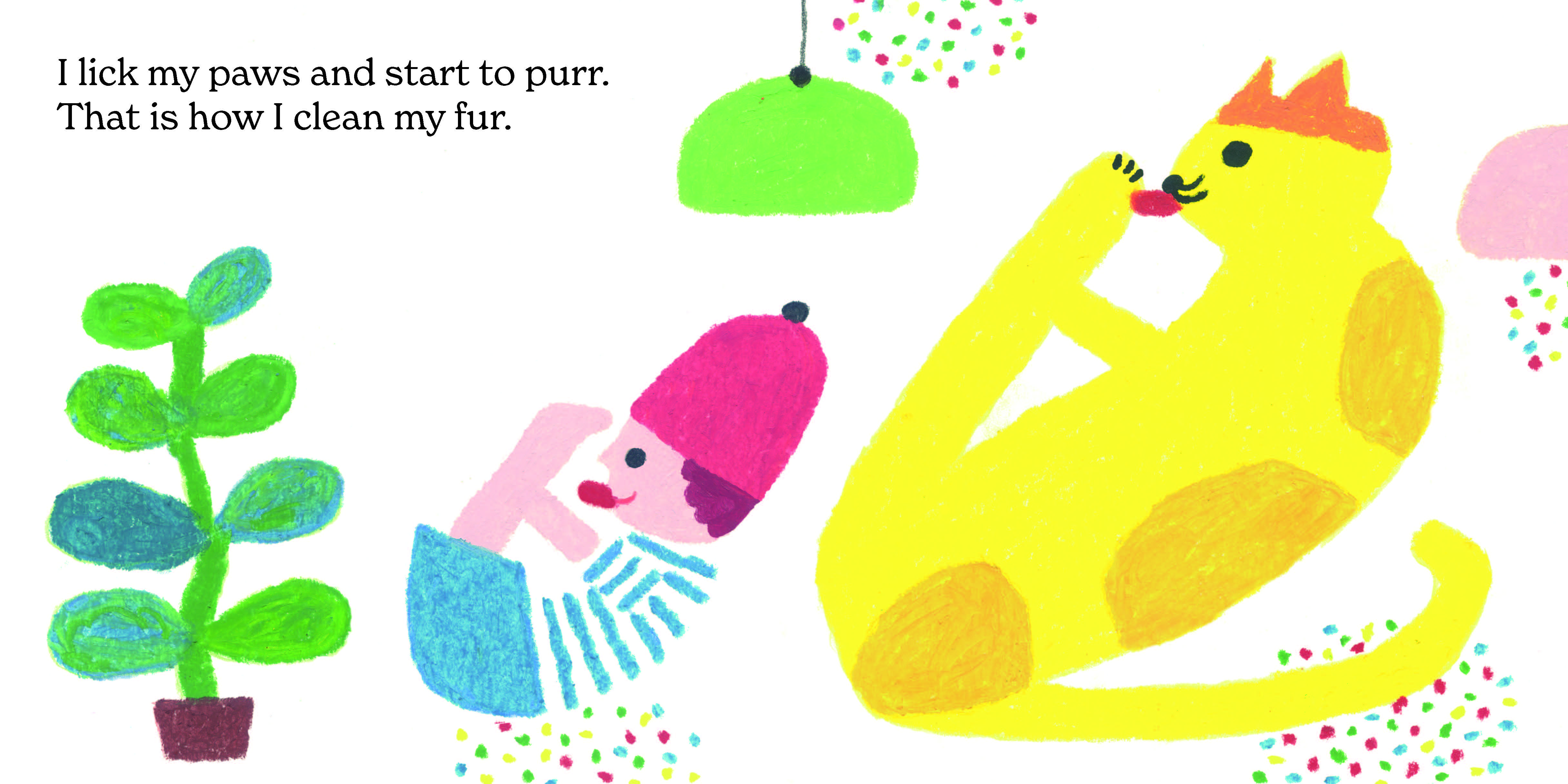How to Be a Cat