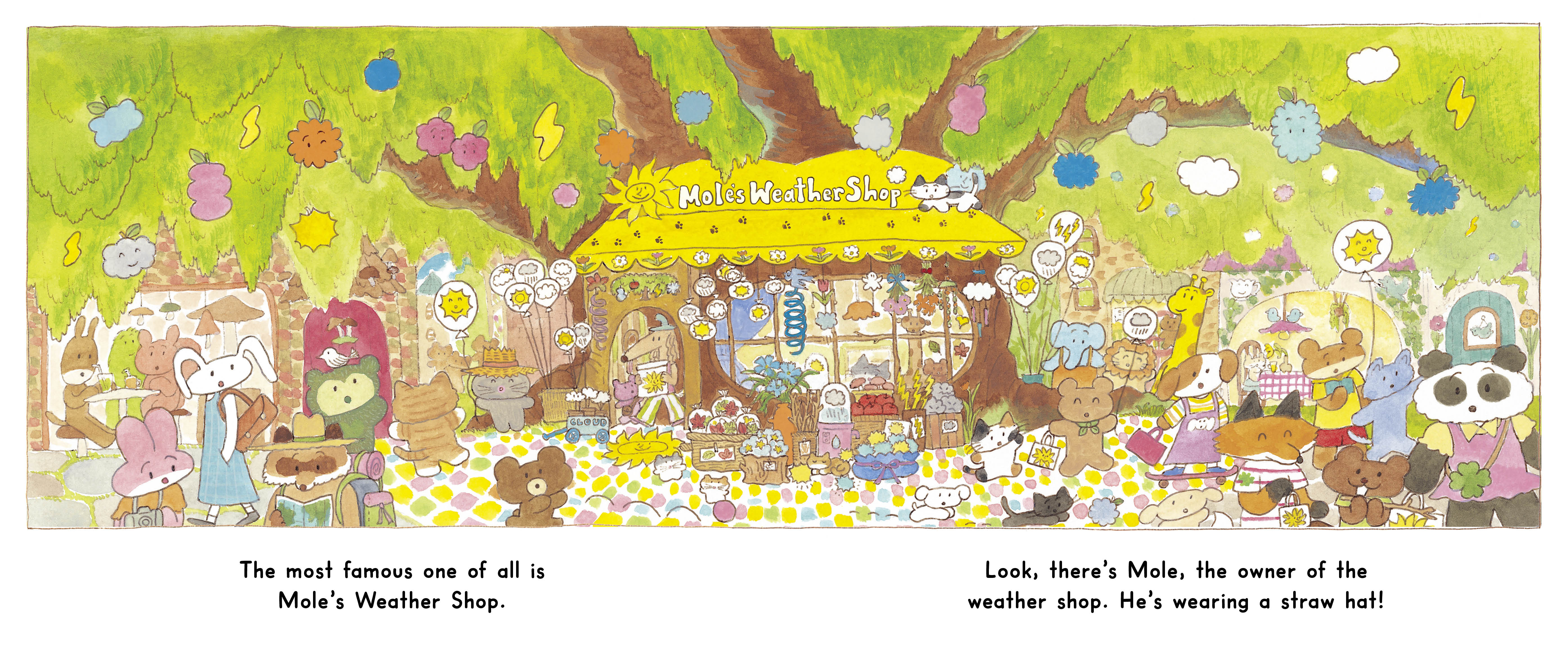 The Weather Shop