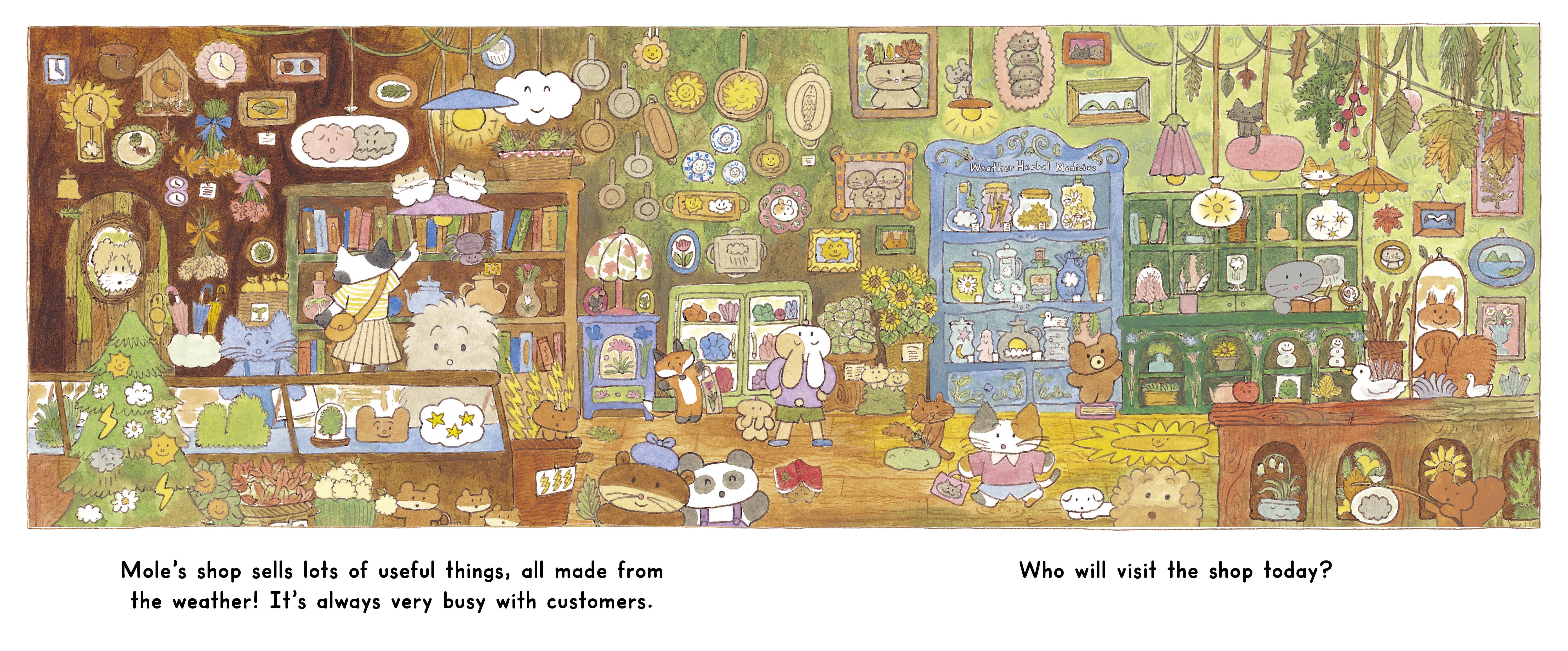 The Weather Shop