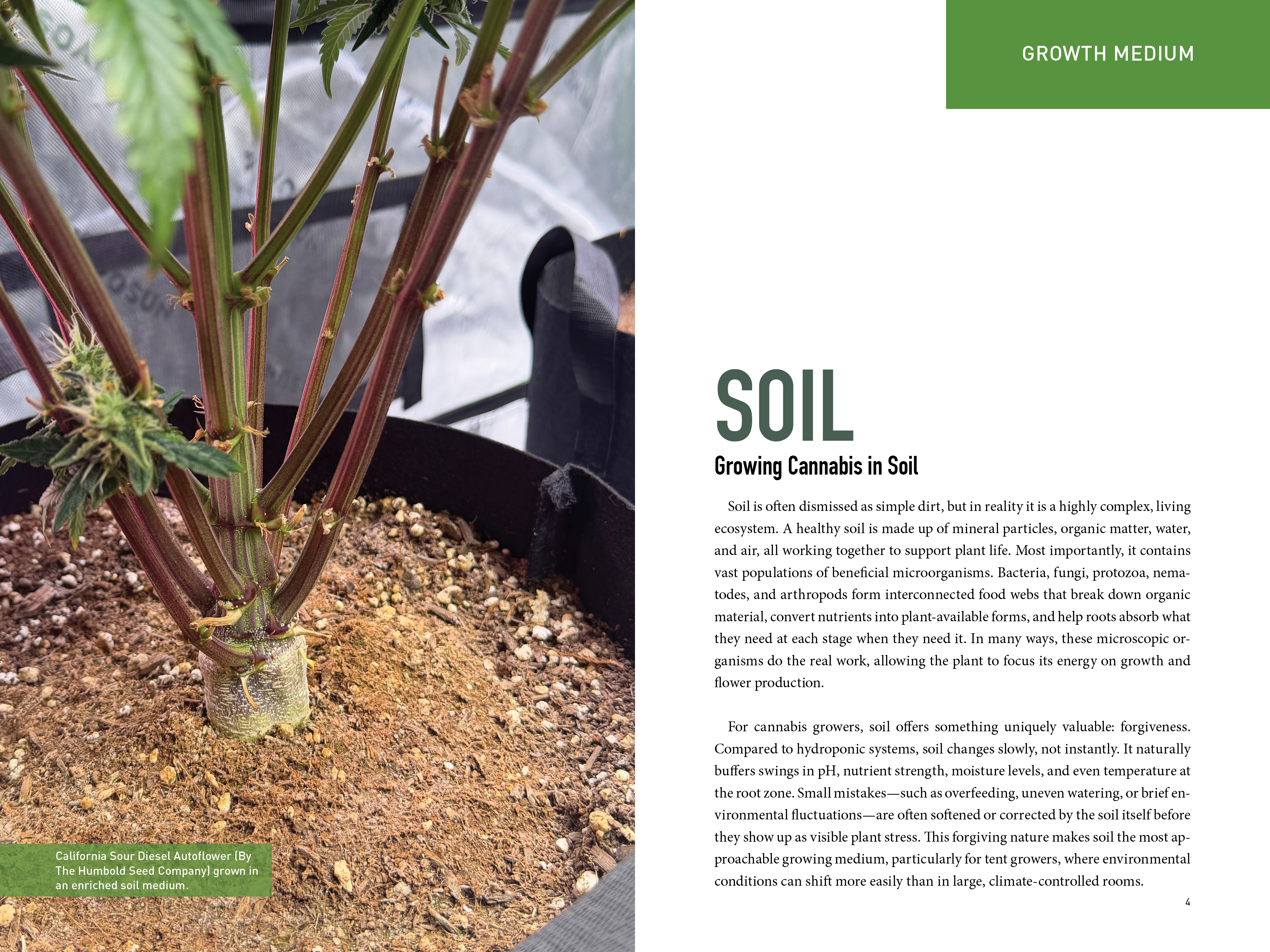 Marijuana Tent Grower's Handbook