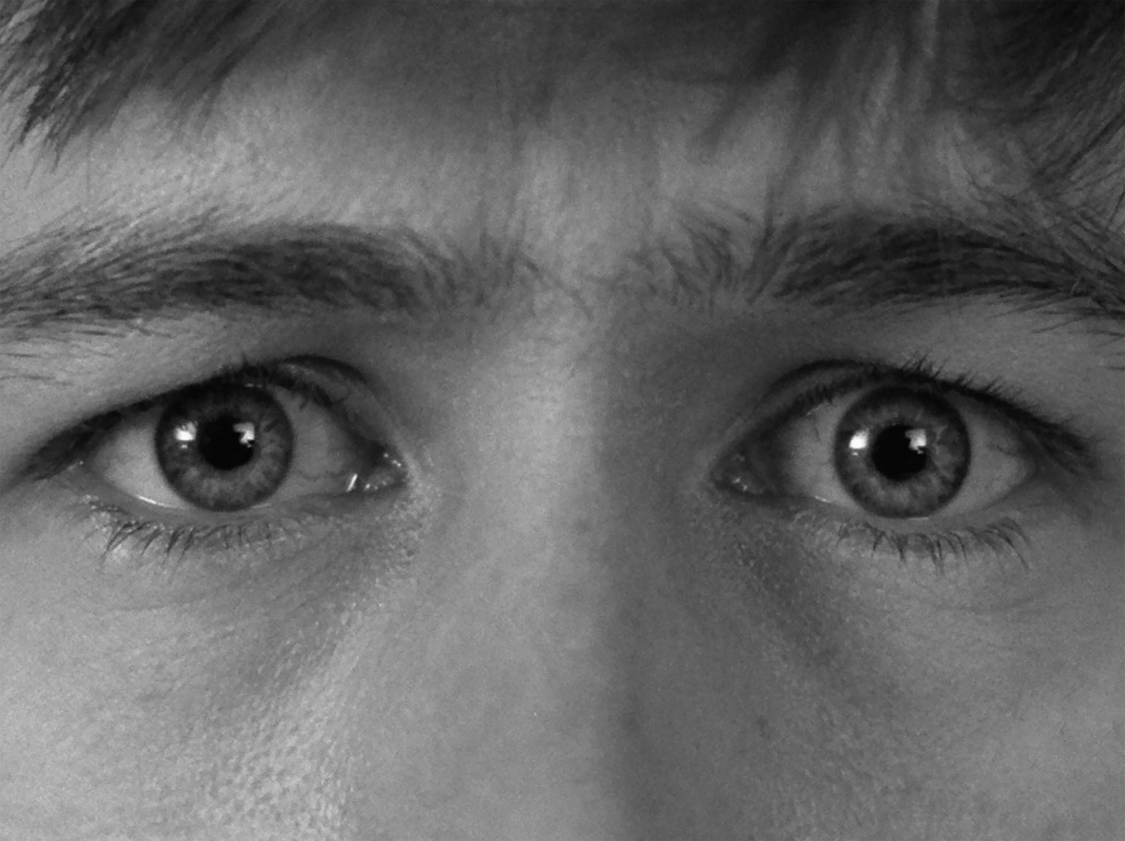 Ferris Bueller. . . You're My Hero