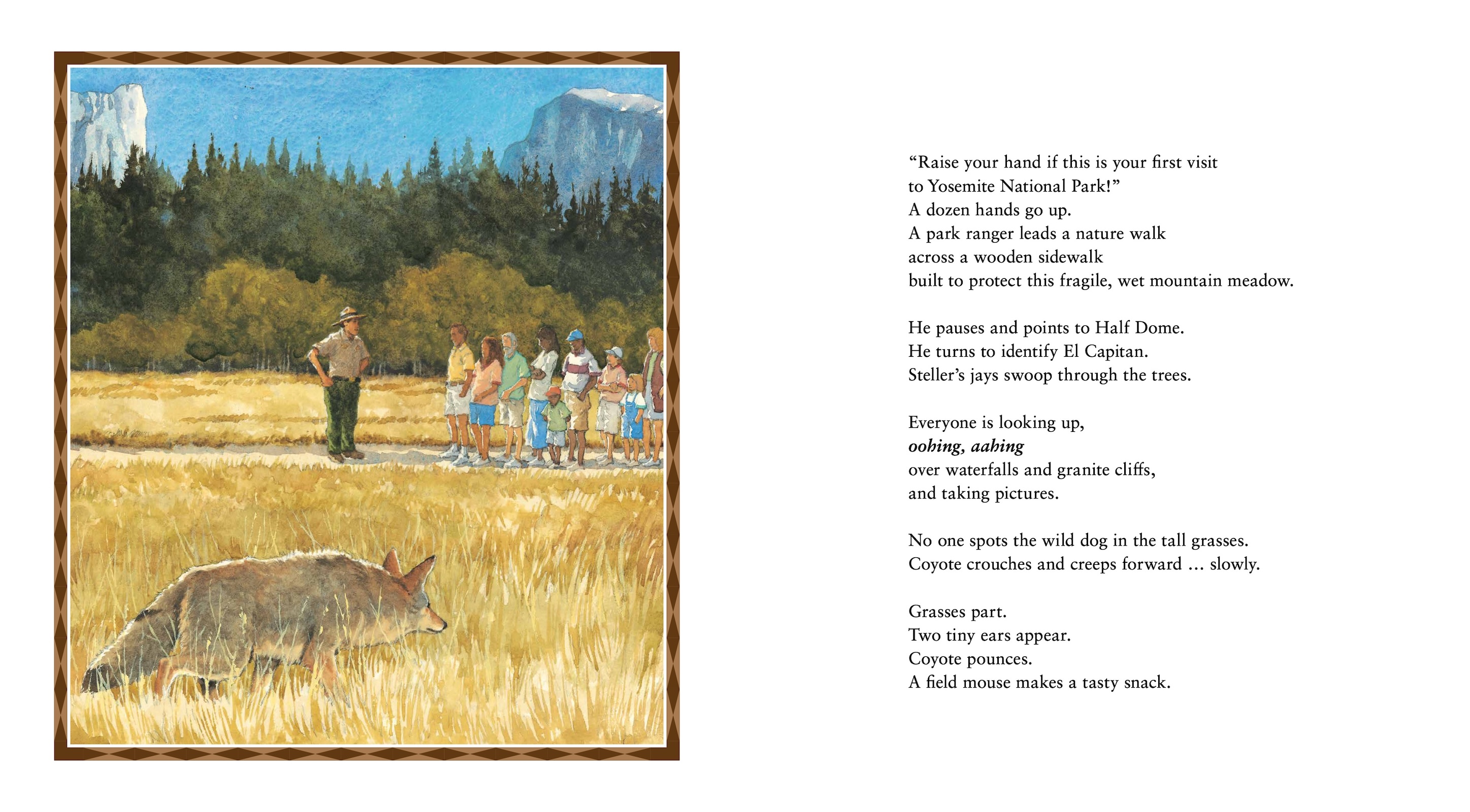Yosemite's Songster