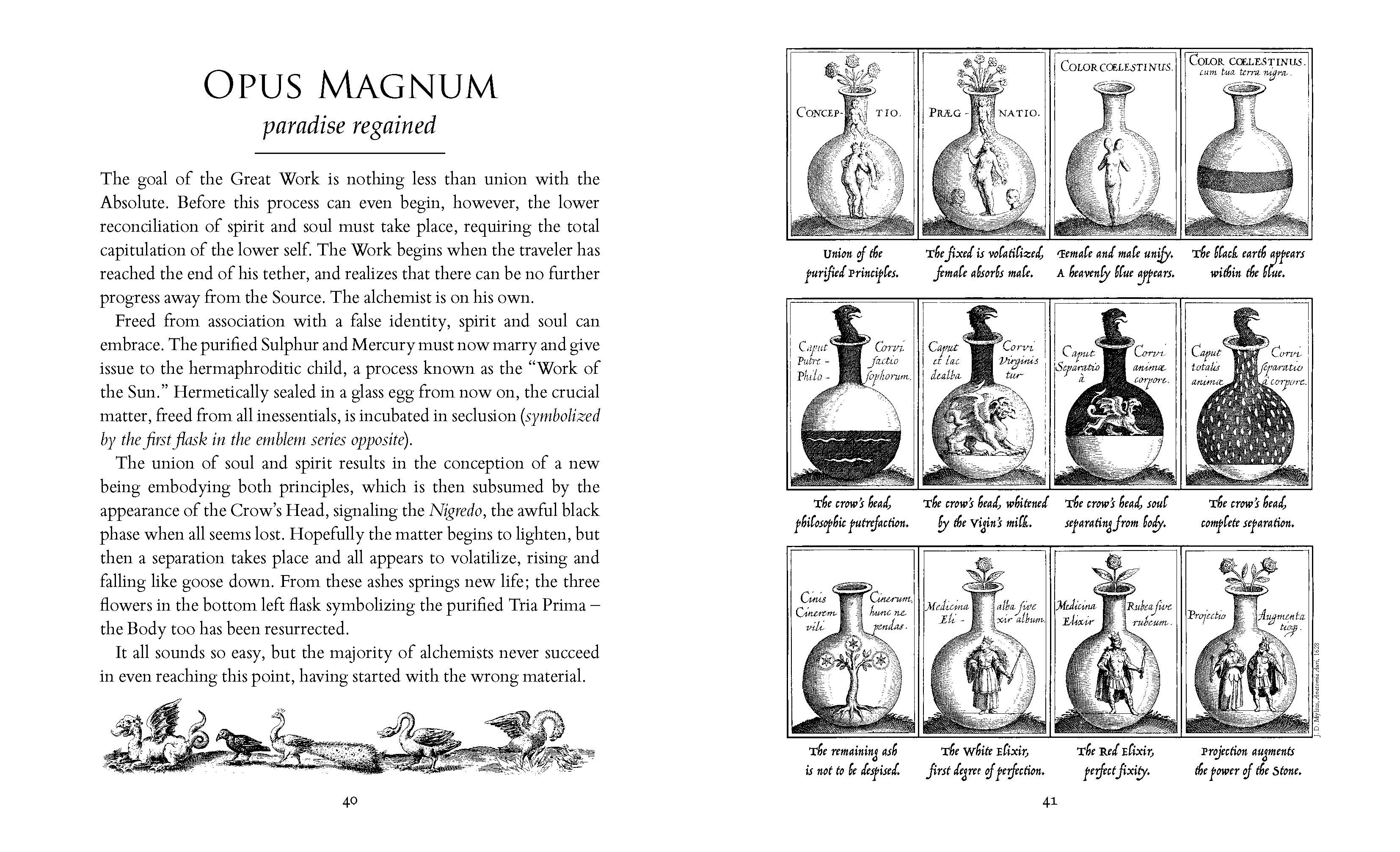 The Alchemist's Kitchen