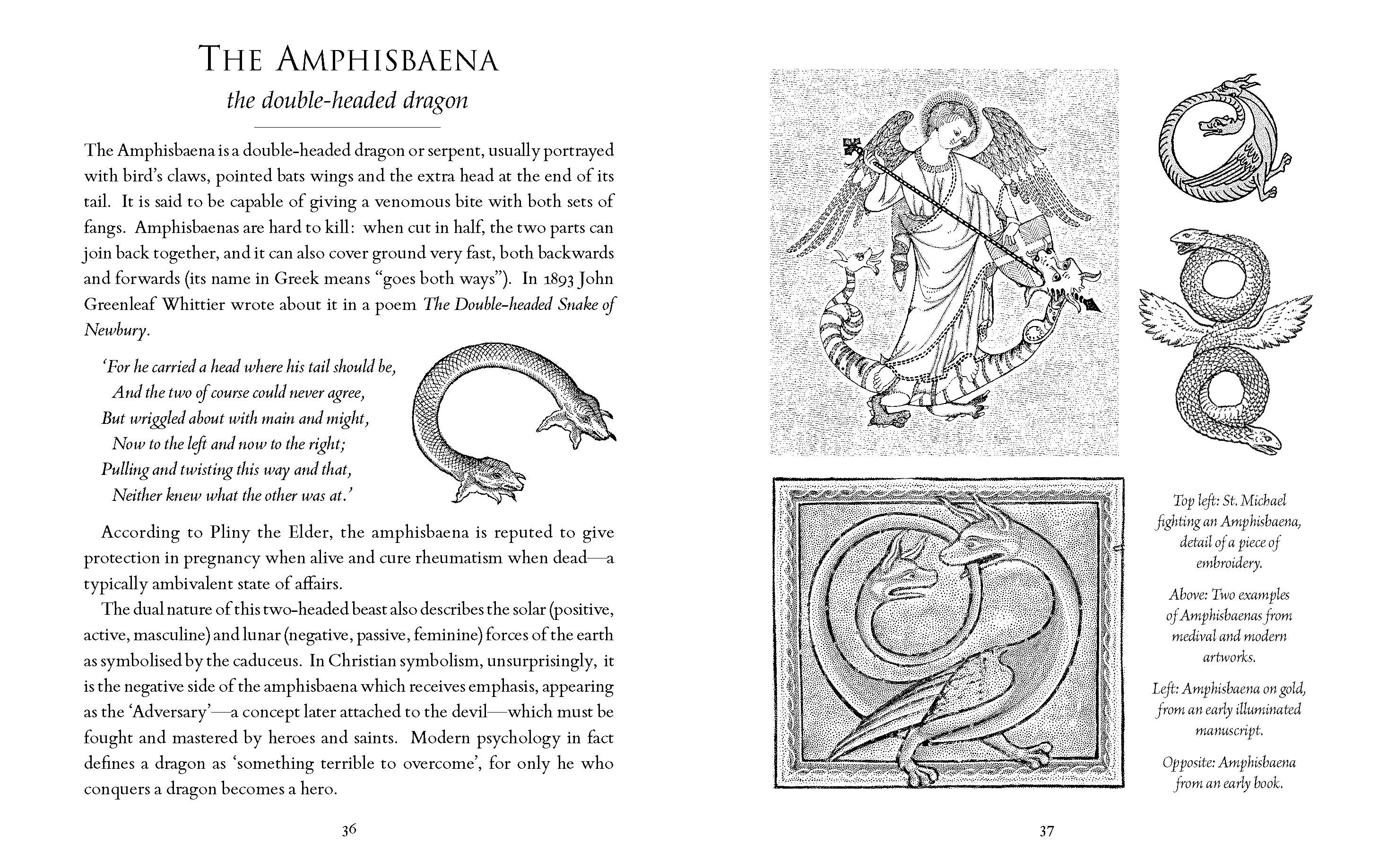 A Little History of Dragons