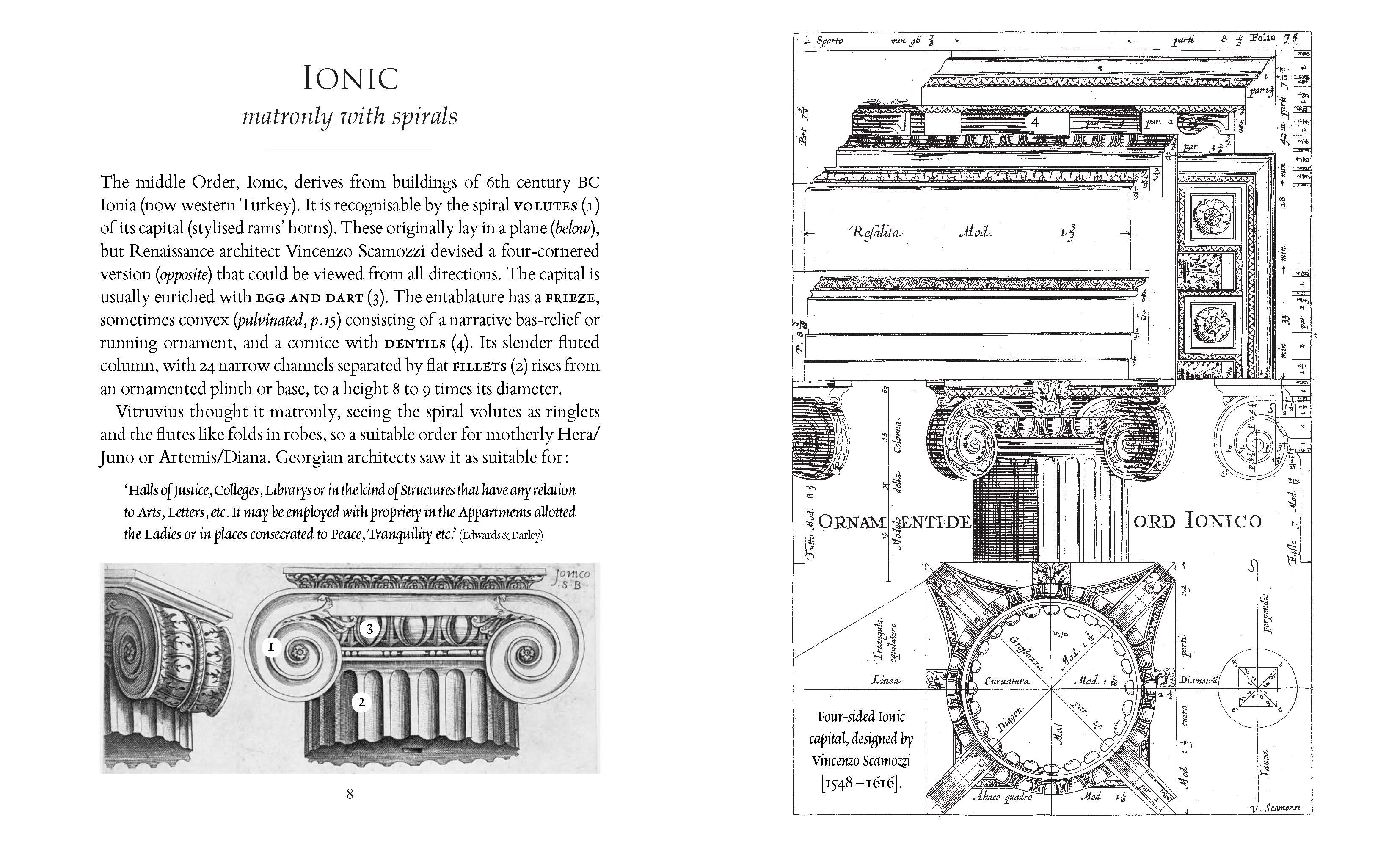 Classical Ornament