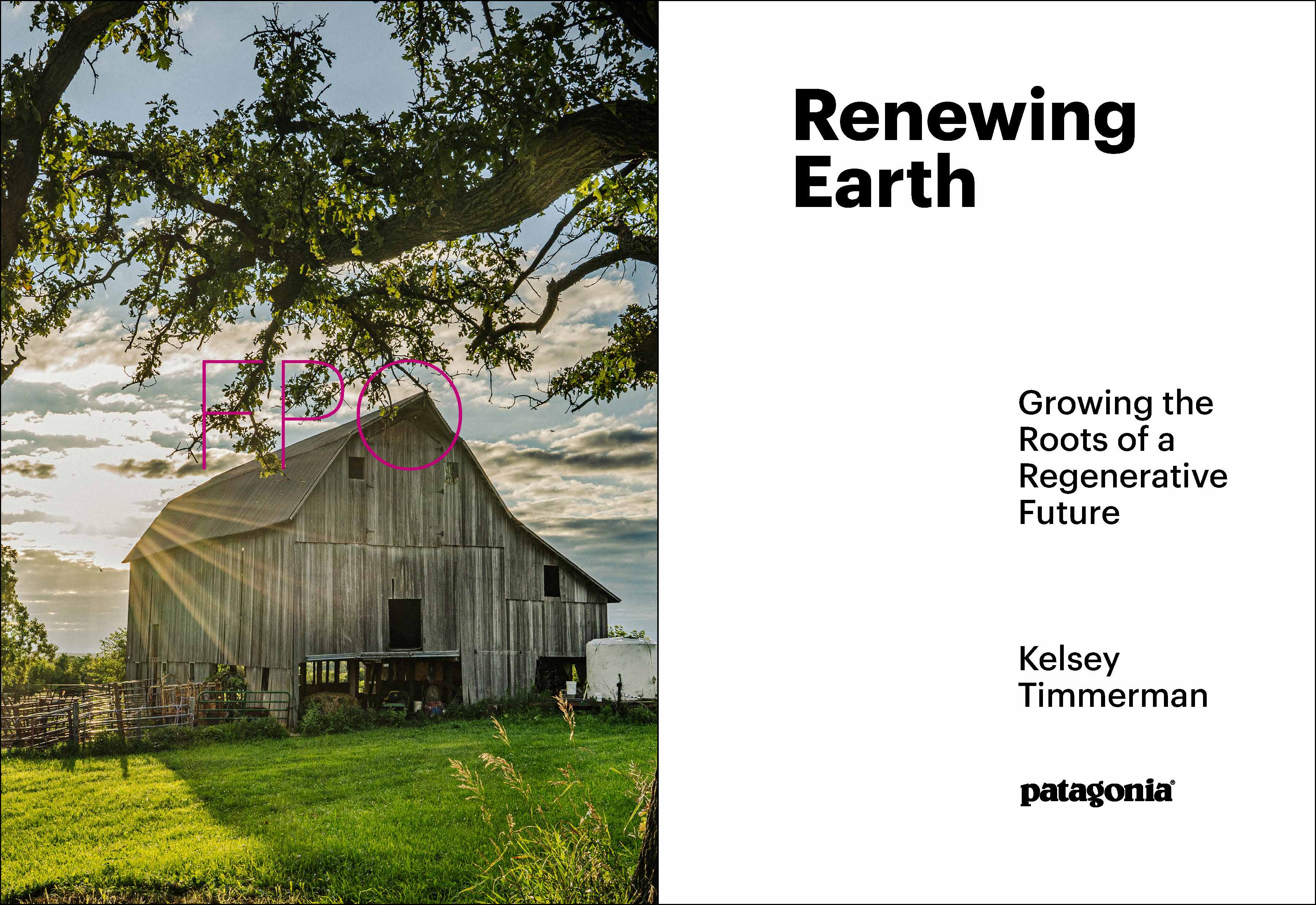 Regenerating Earth