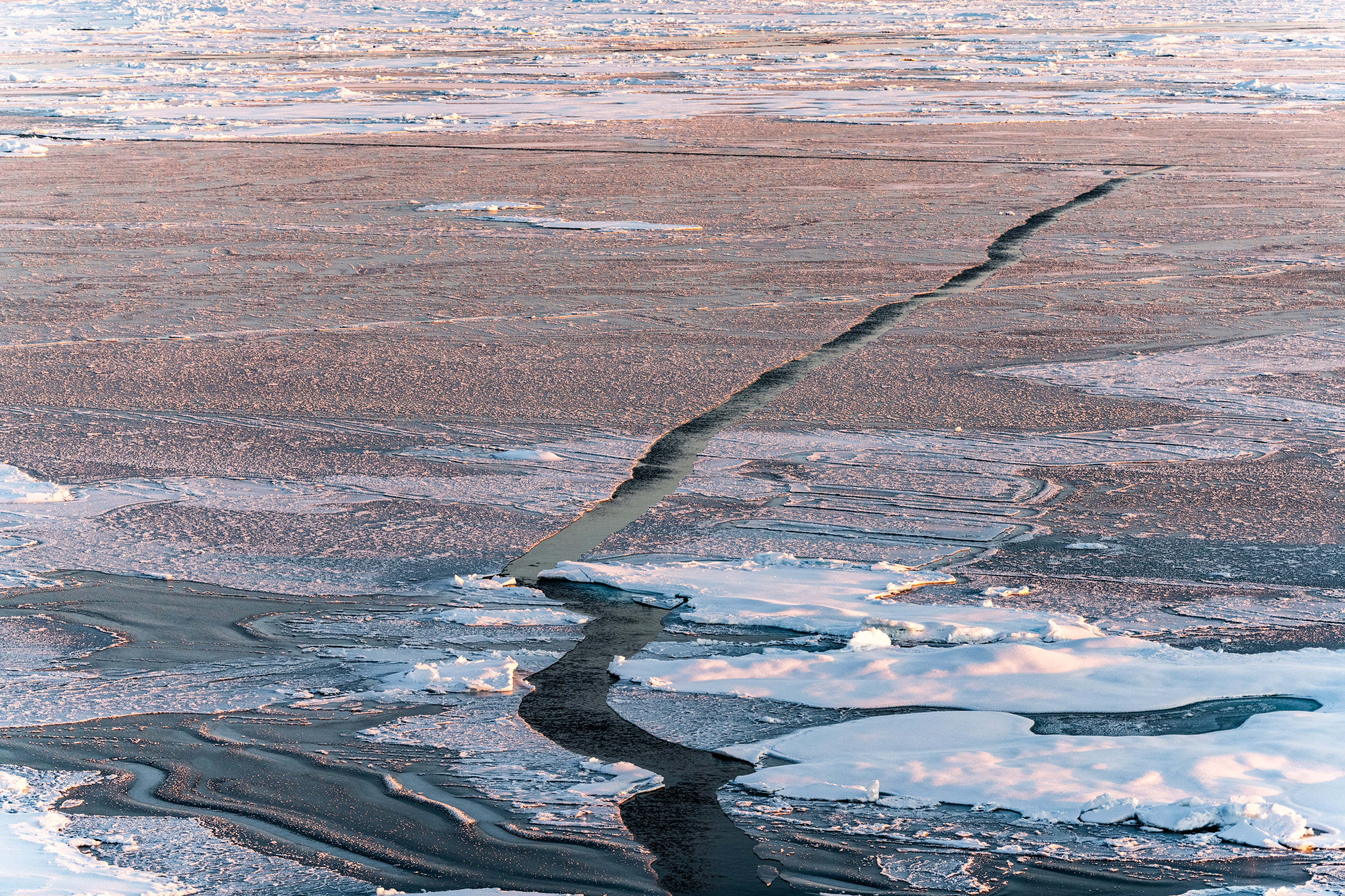 From Brooklyn to the North Pole