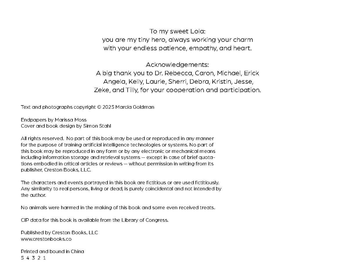 Lola Goes to the Hospital