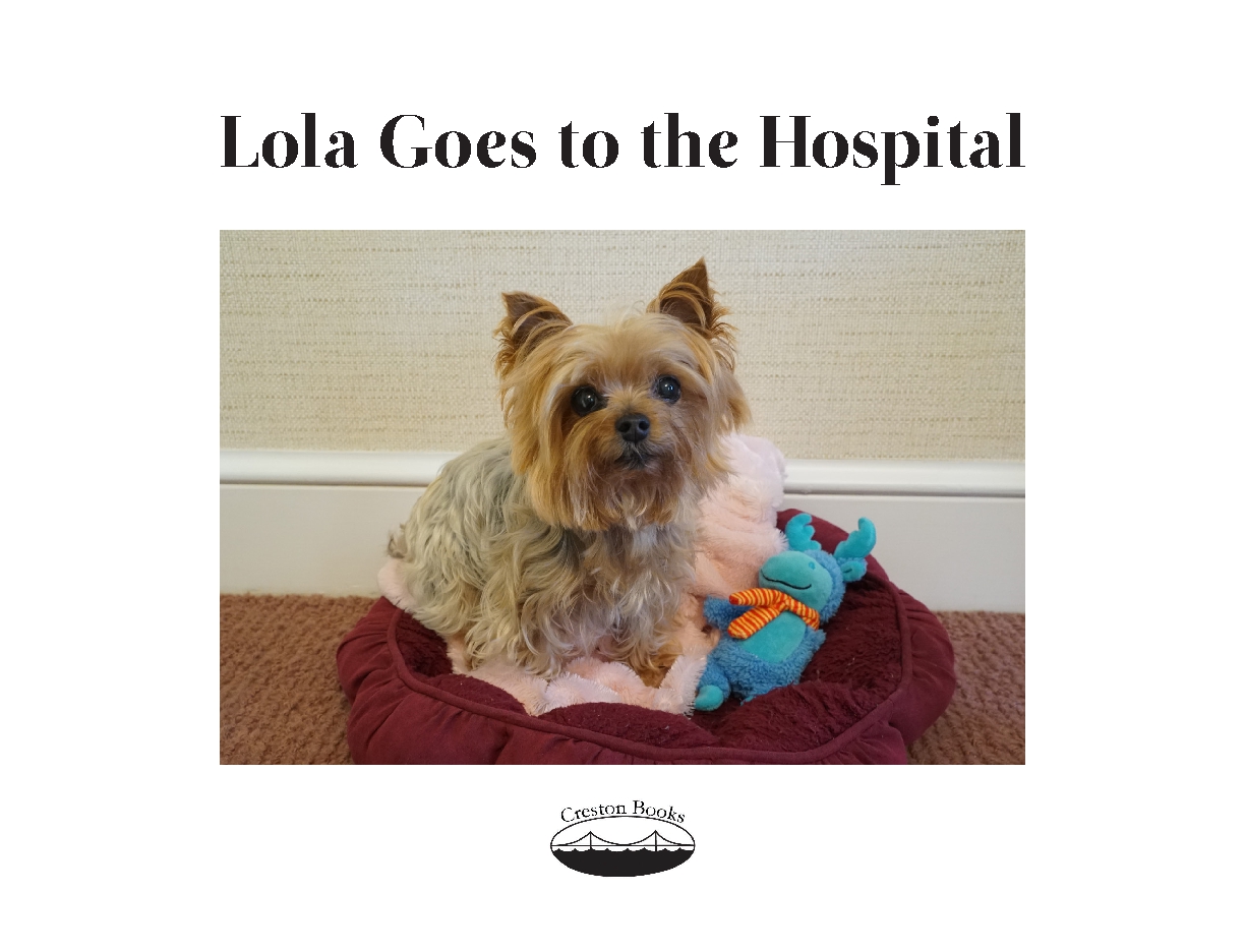 Lola Goes to the Hospital
