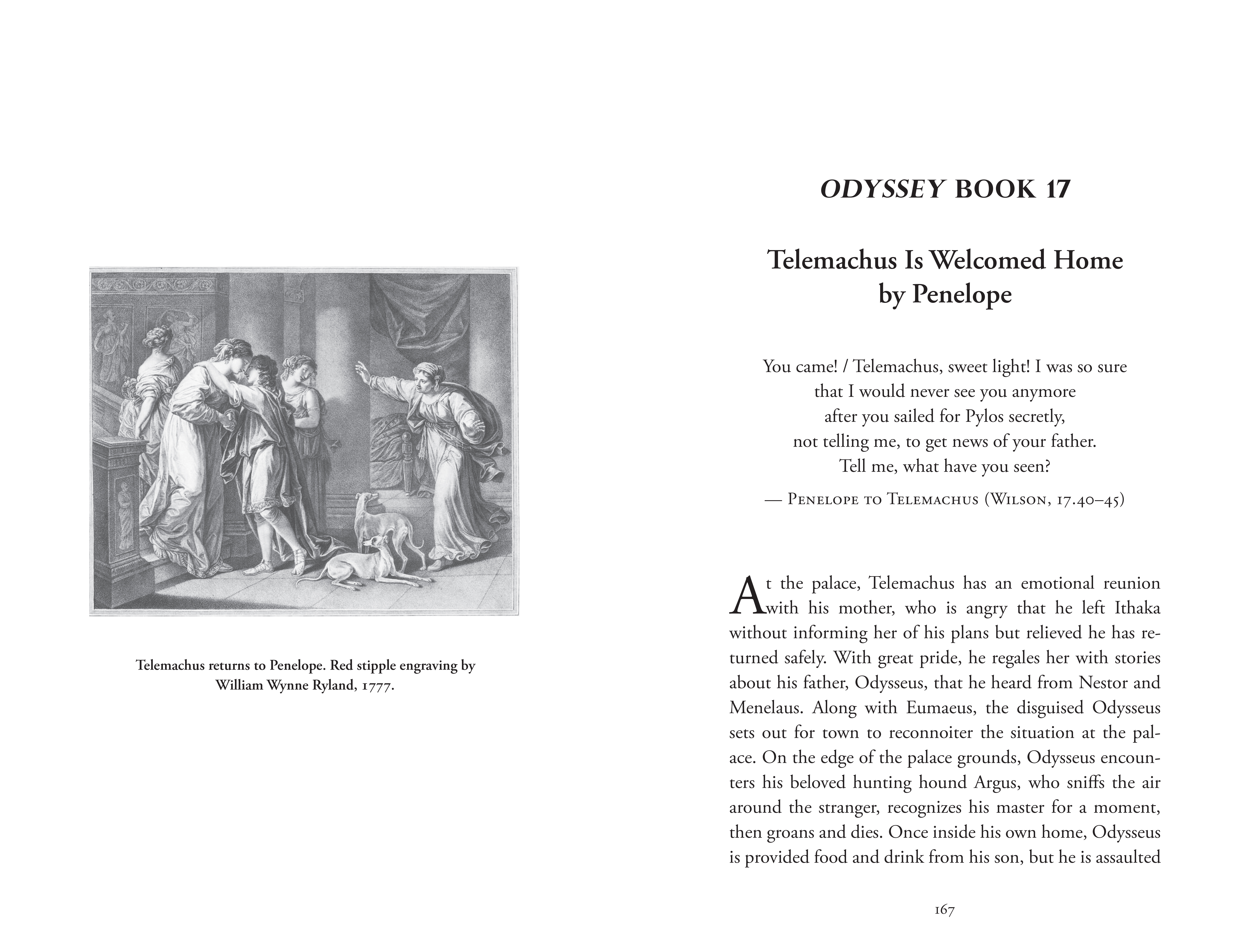 The Wisdom of the Odyssey