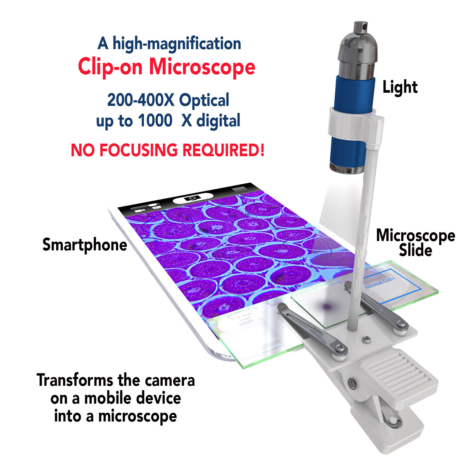 Microscope: 400 X Clip-On Microscope