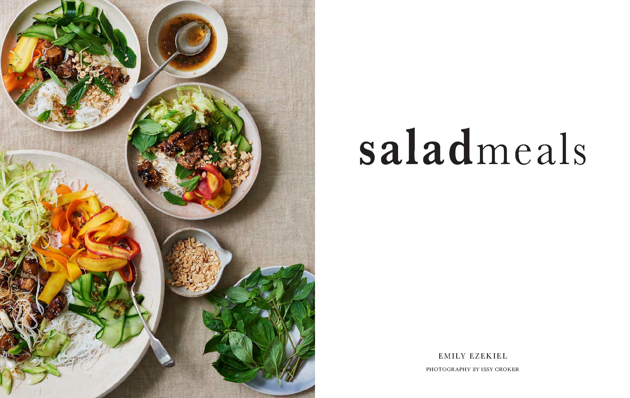 Salad Meals