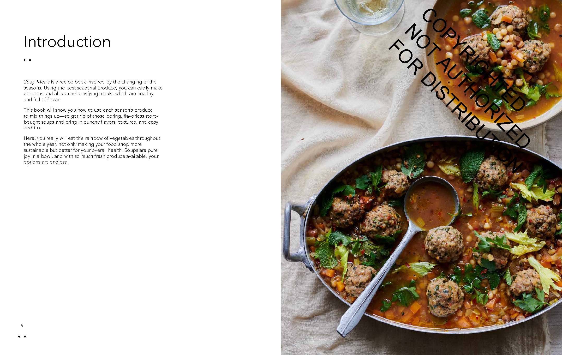 Soup Meals