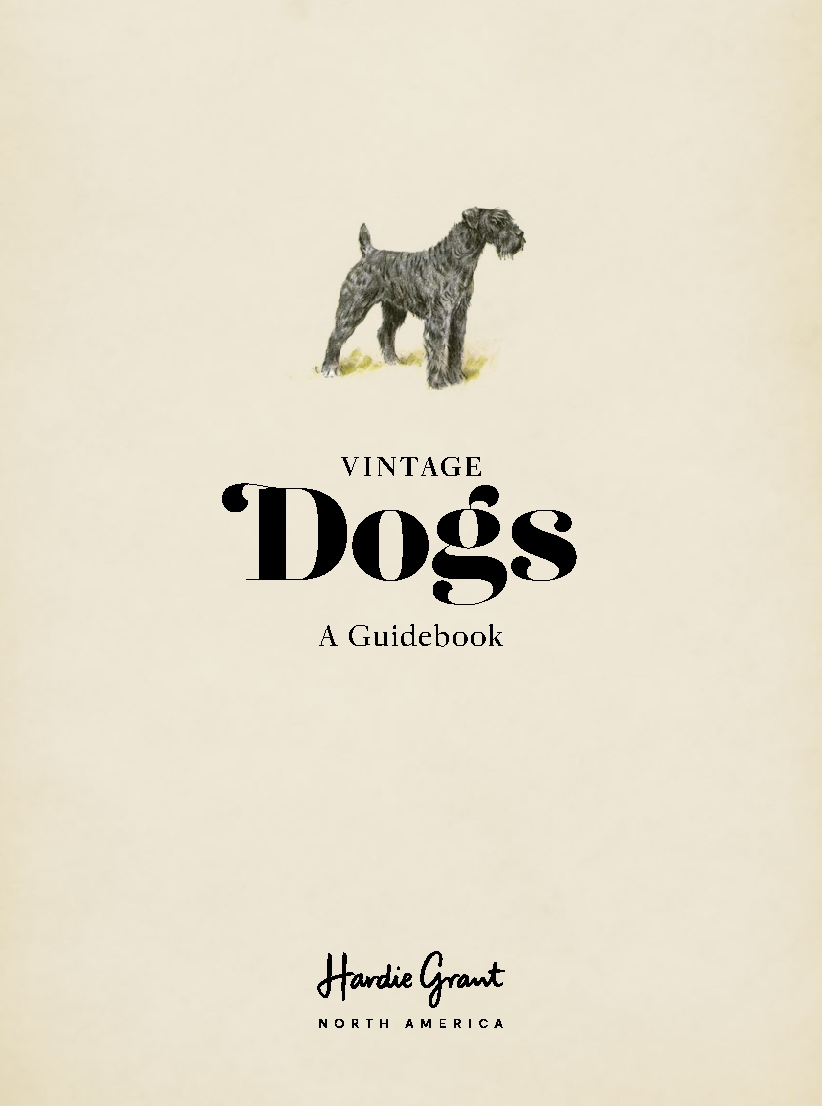 Vintage Dogs