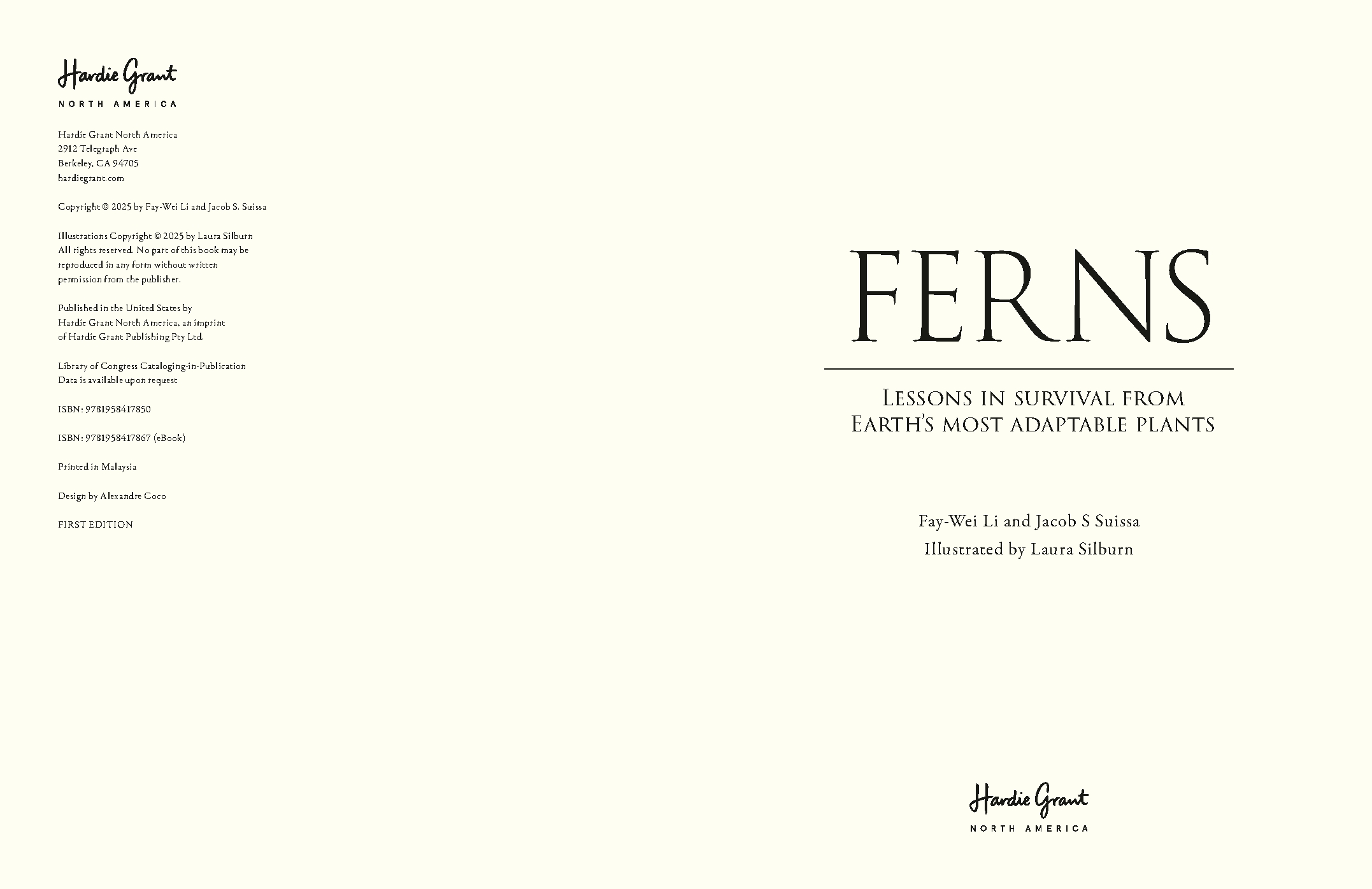 Ferns