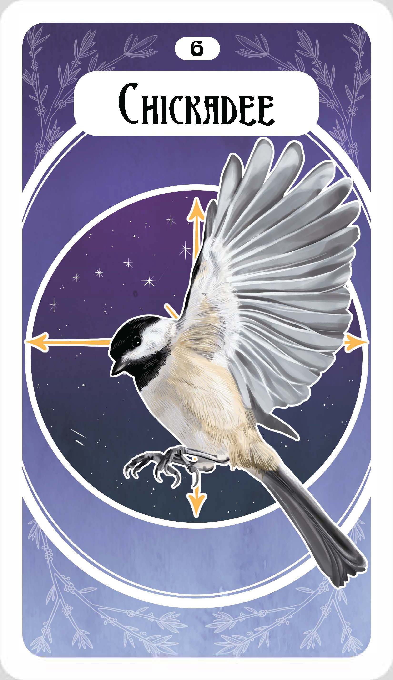 The Avian Oracle