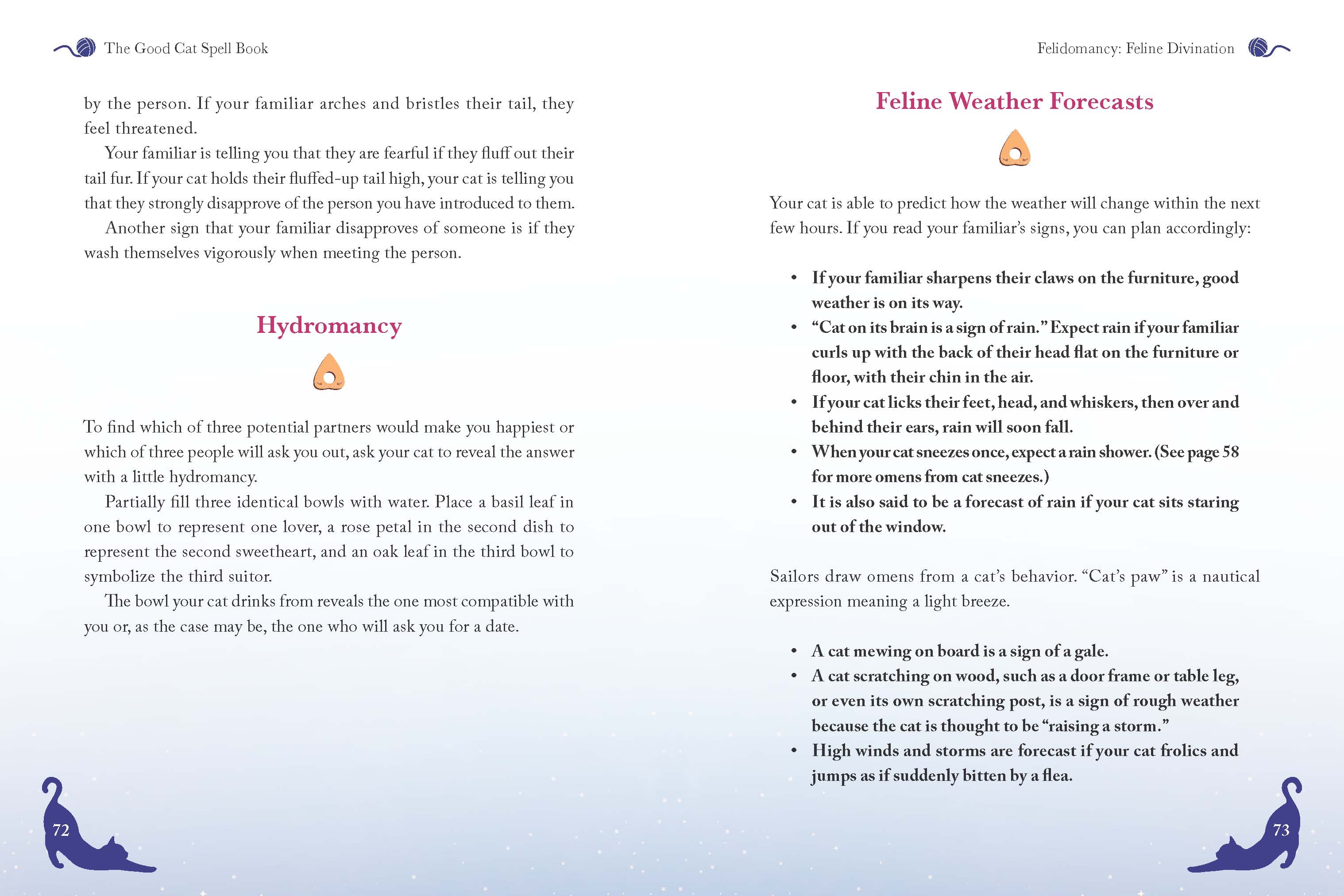 The Good Cat Spell Book