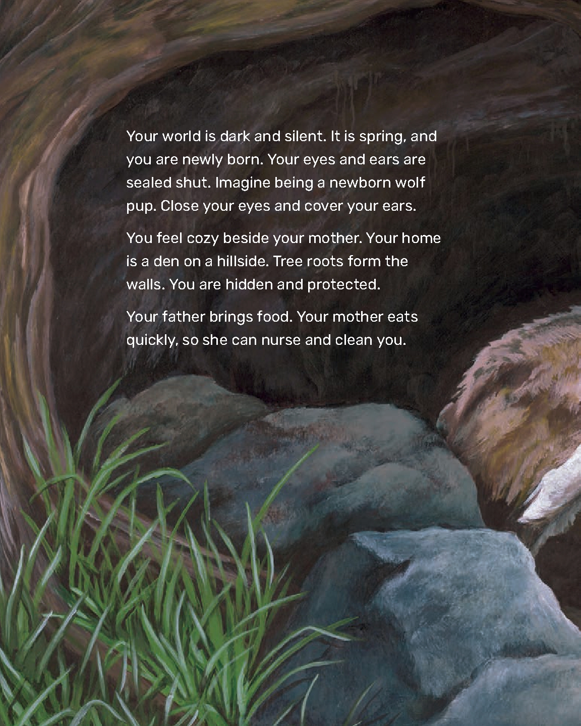 What Will the Wolf Do?