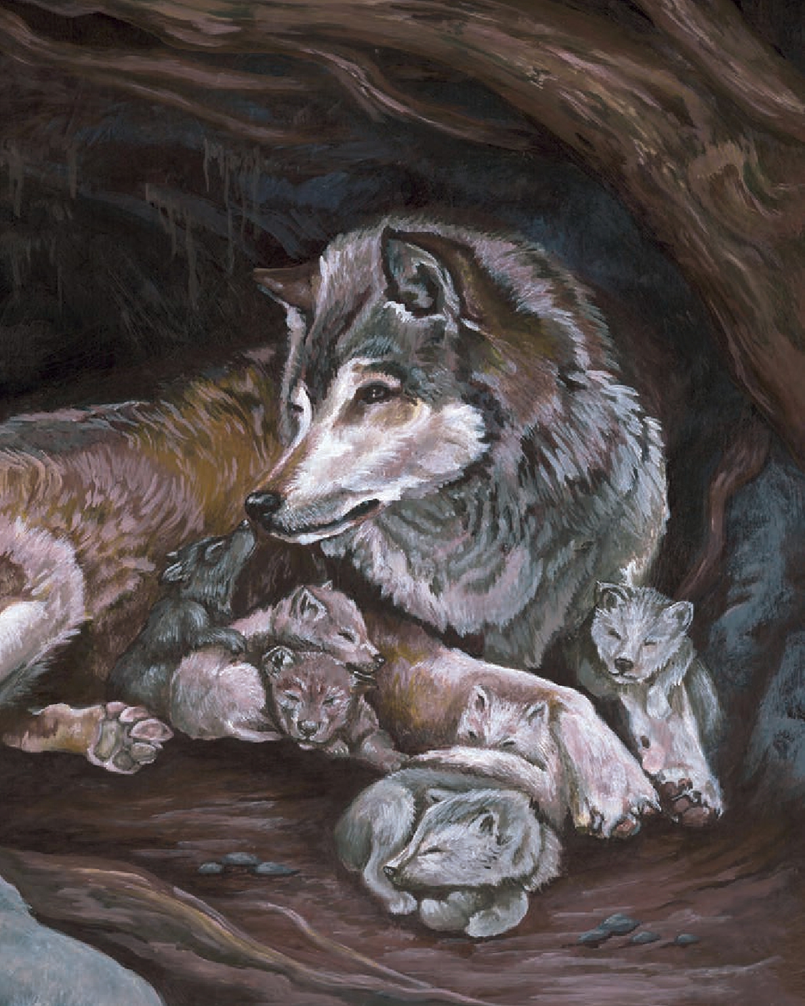 What Will the Wolf Do?