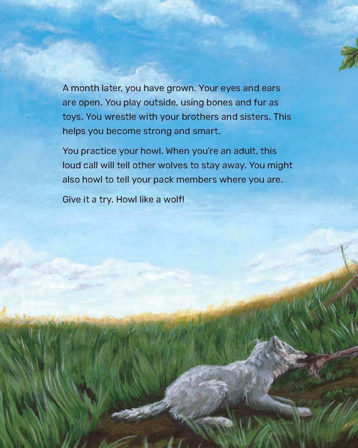 What Will the Wolf Do?