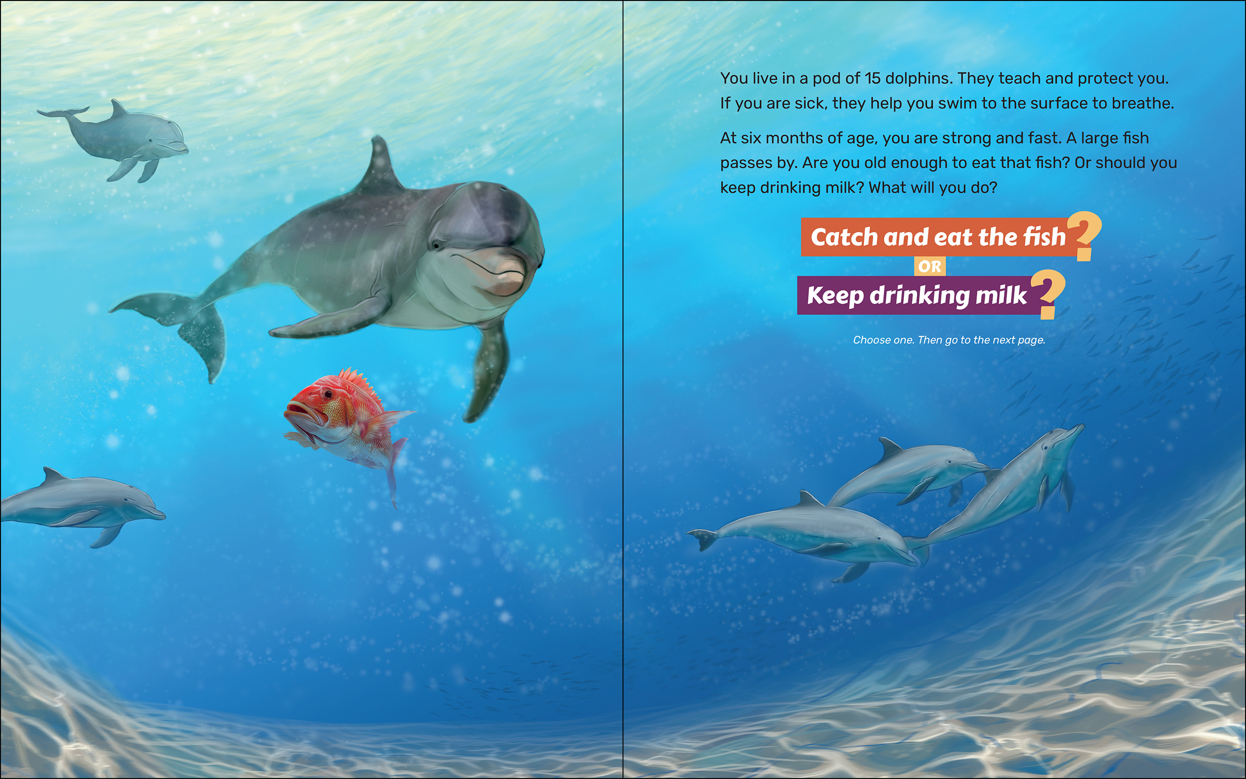 What Will the Dolphin Do?