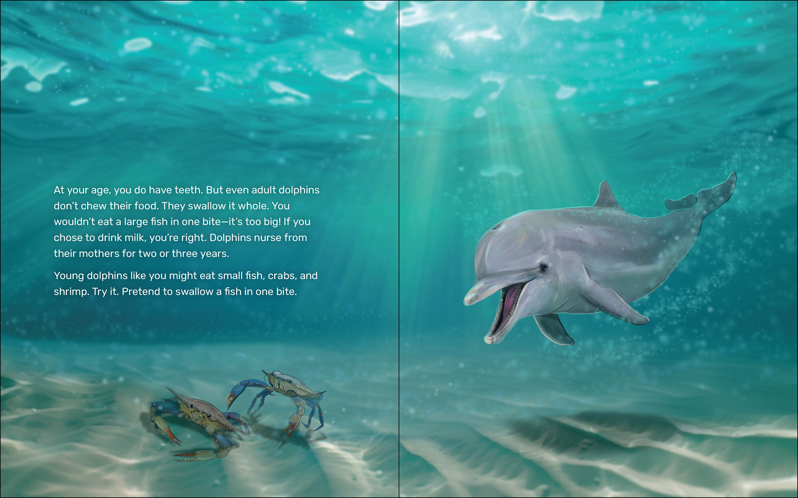 What Will the Dolphin Do?