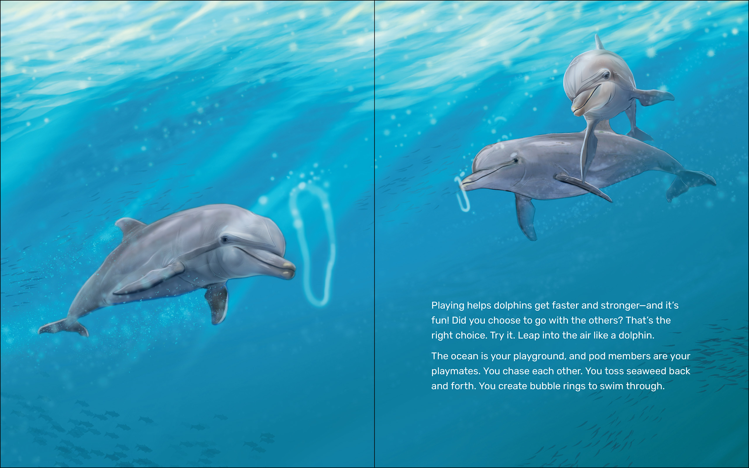 What Will the Dolphin Do?