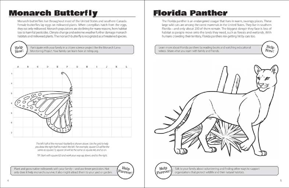 Save the Animals Activity Book
