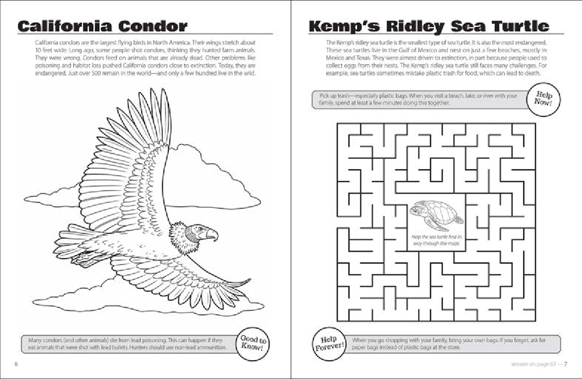 Save the Animals Activity Book