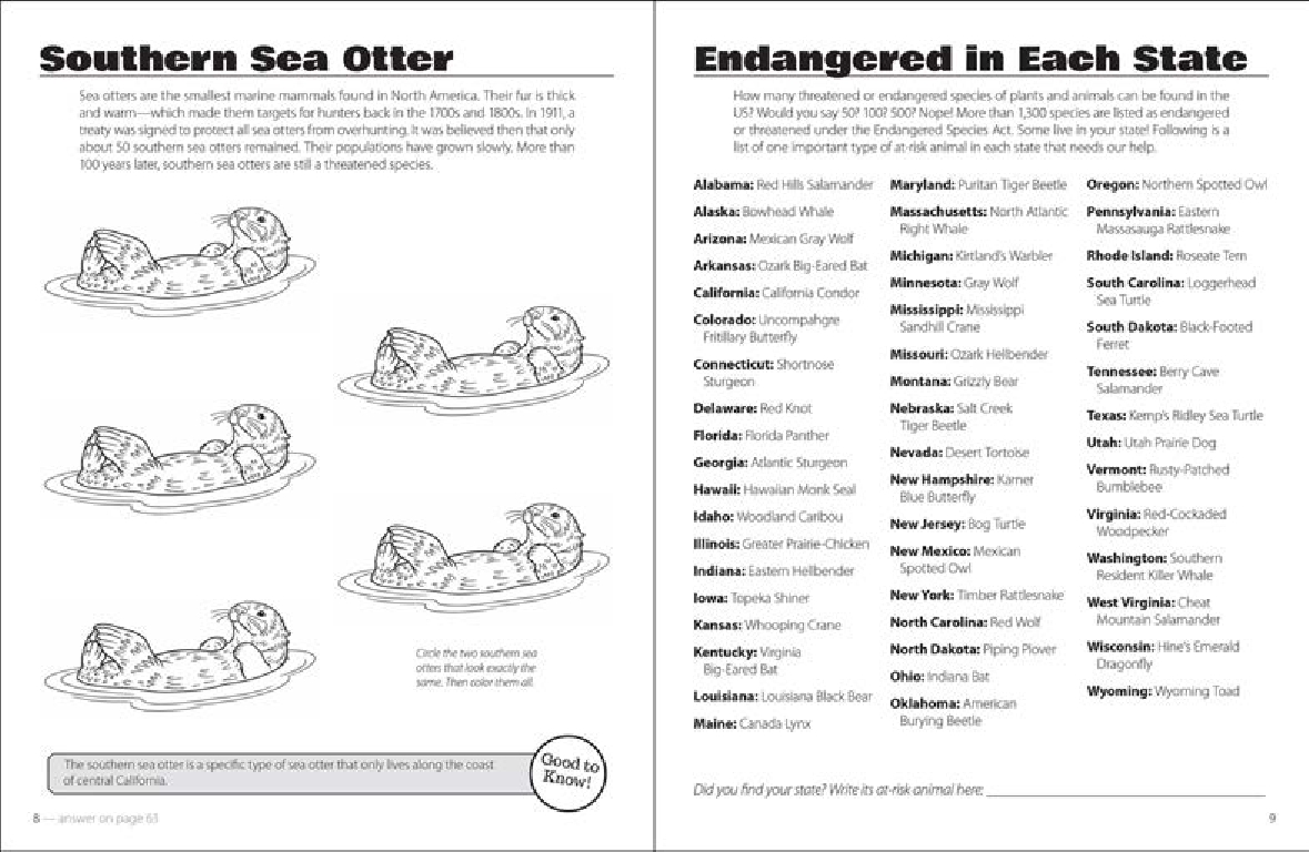 Save the Animals Activity Book