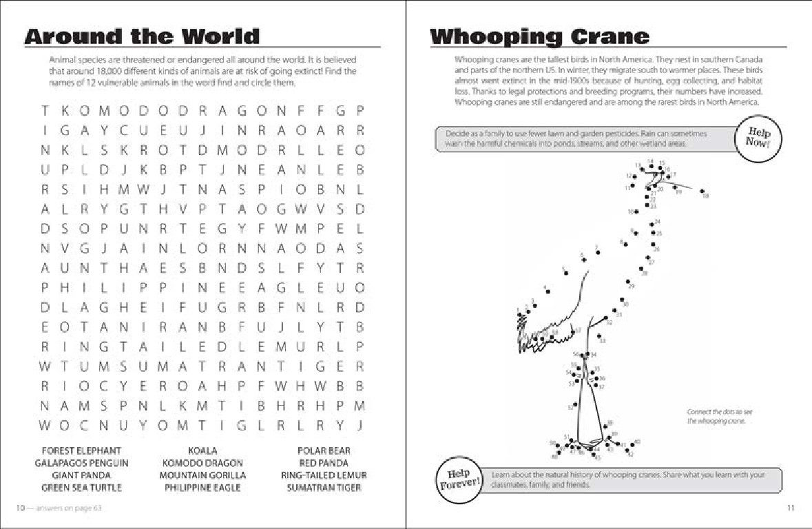 Save the Animals Activity Book