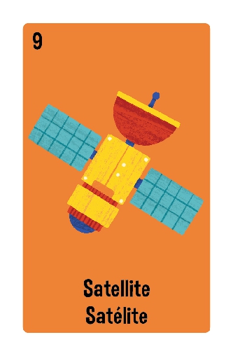 Lil' Lotería: My First STEAM Words