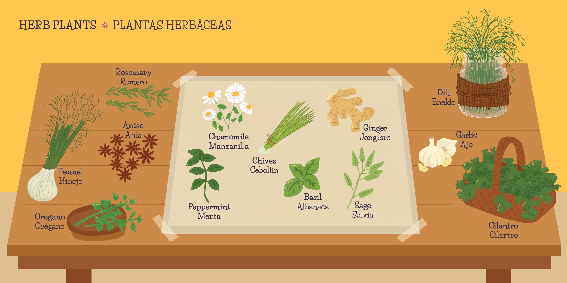 My First 100 Plantitas & Florecitas Words in English & Spanish